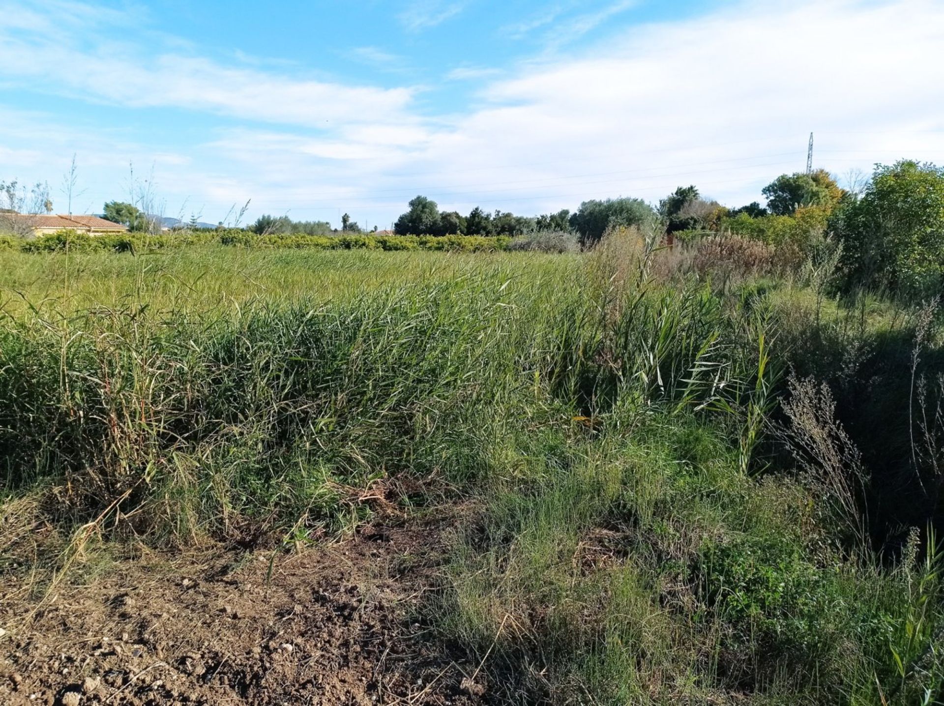 Outro no Castellón de la Plana, Valência 12329746