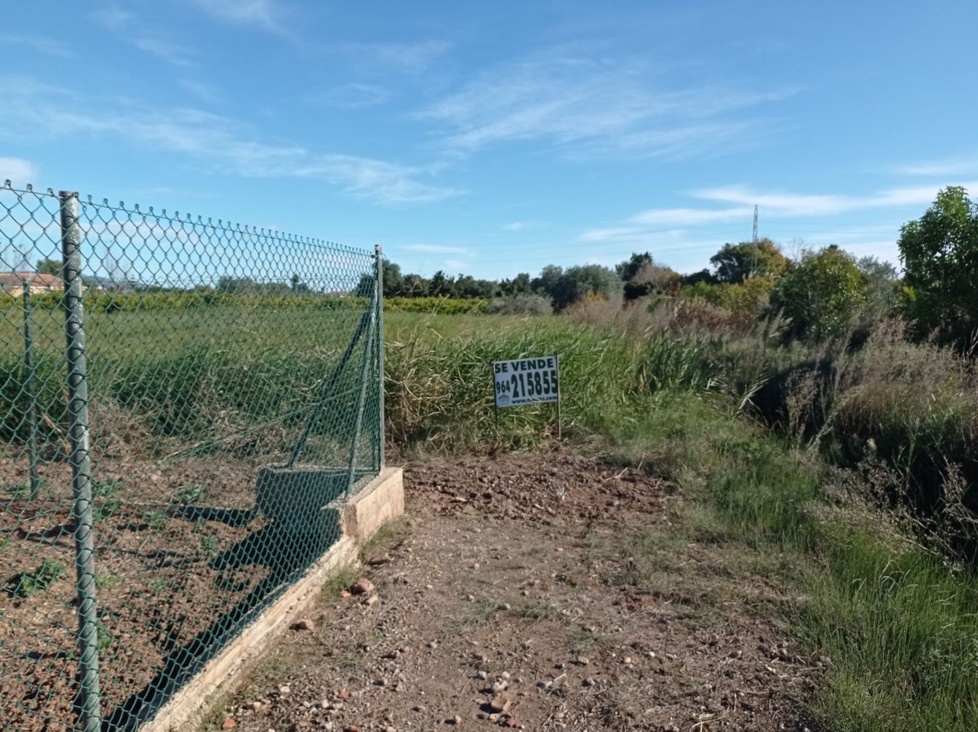 Inny w Castellón de la Plana, Valencian Community 12329746