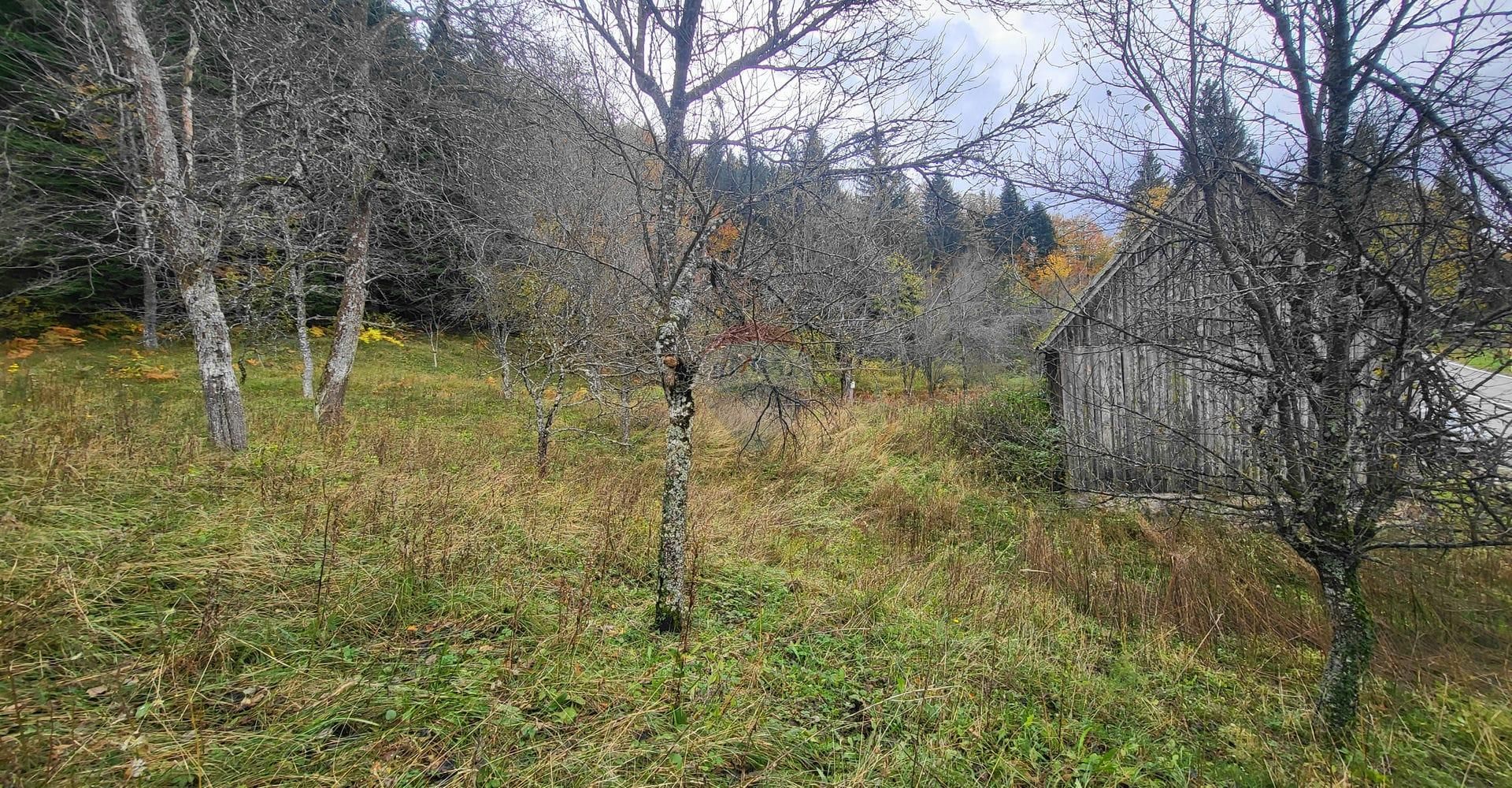 Land in Skrad, Primorsko-Goranska Zupanija 12331032