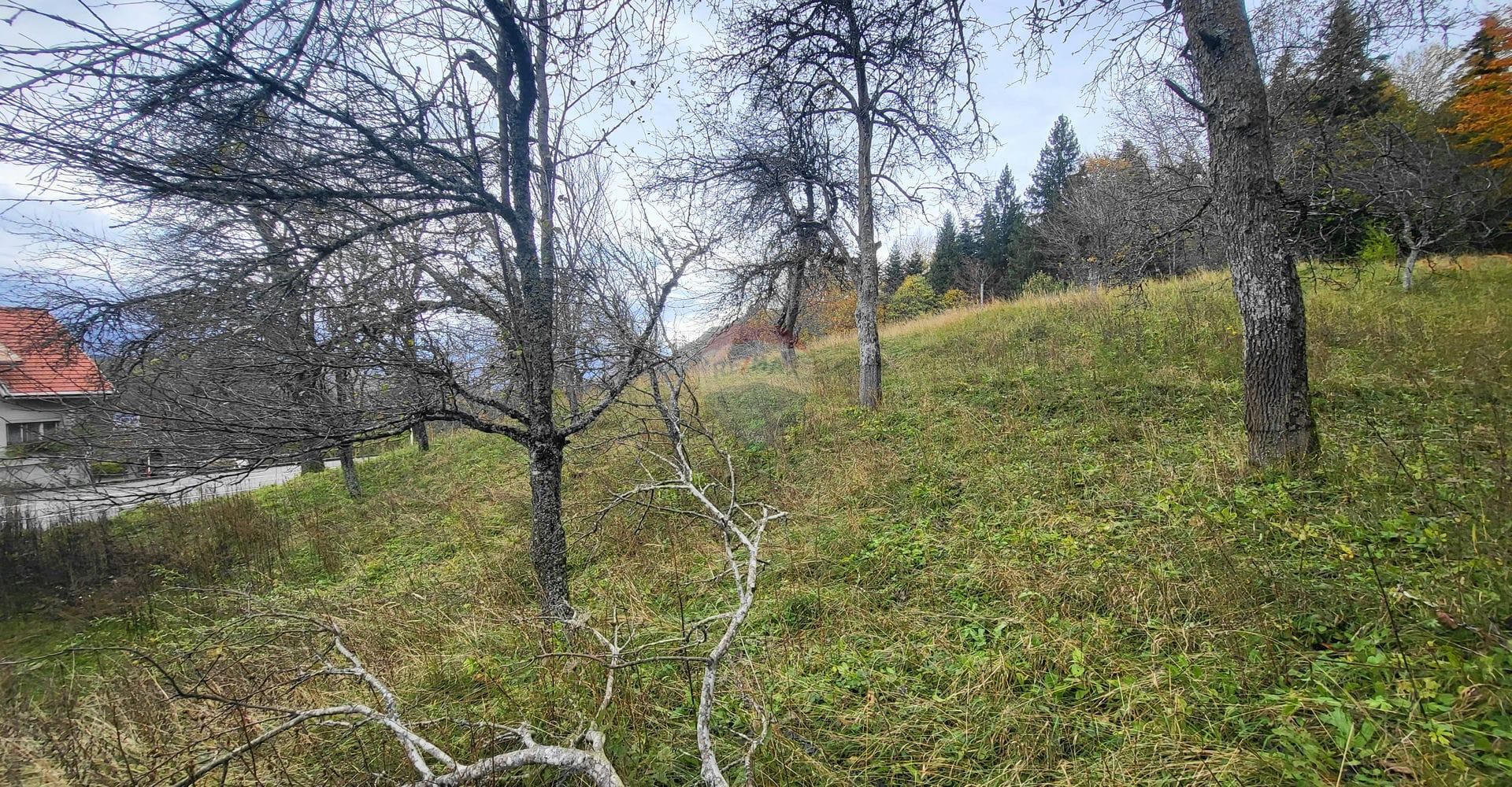 Terre dans Skrad, Primorsko-Goranska Zupanija 12331032