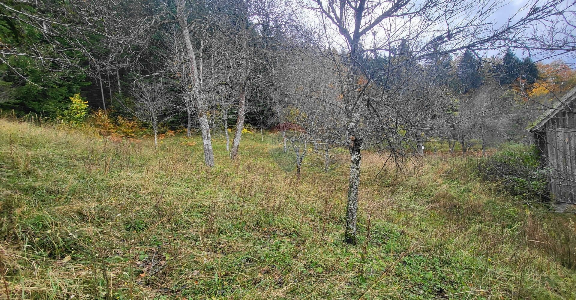 Tierra en Skrad, Primorsko-Goranska Zupanija 12331032