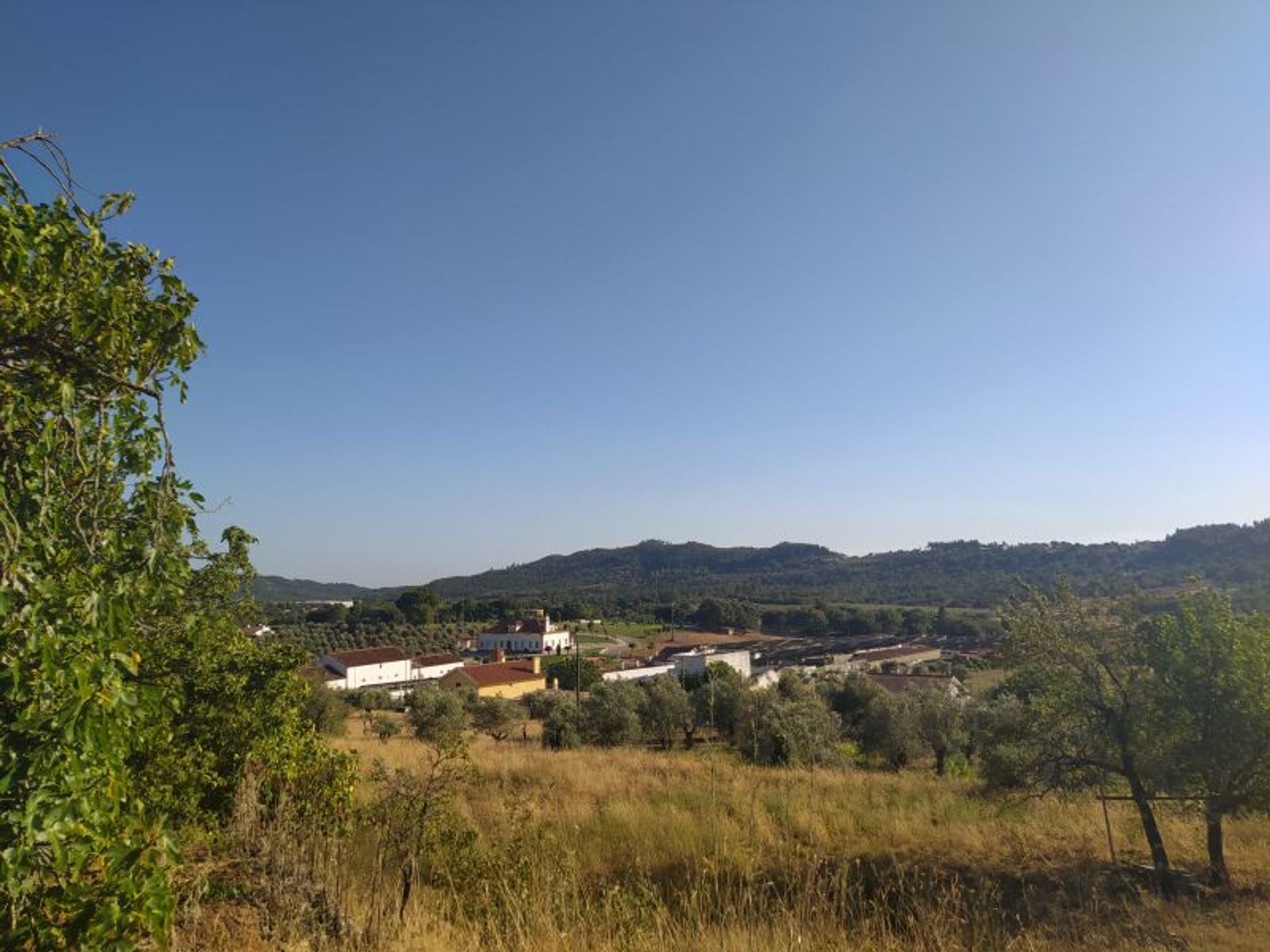 房子 在 Ferreira do Zêzere, Santarém District 12331546