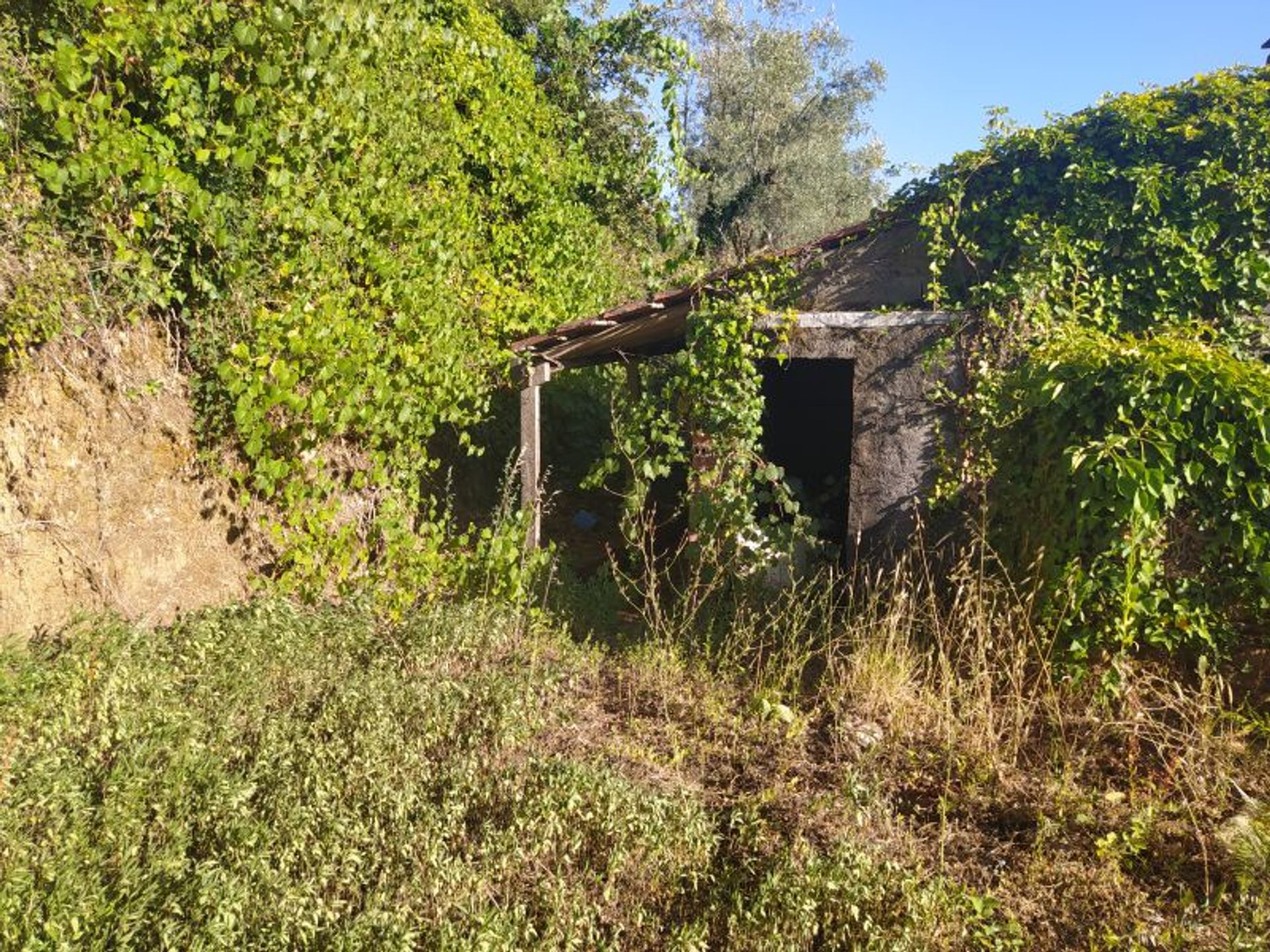 房子 在 Ferreira do Zêzere, Santarém District 12331546