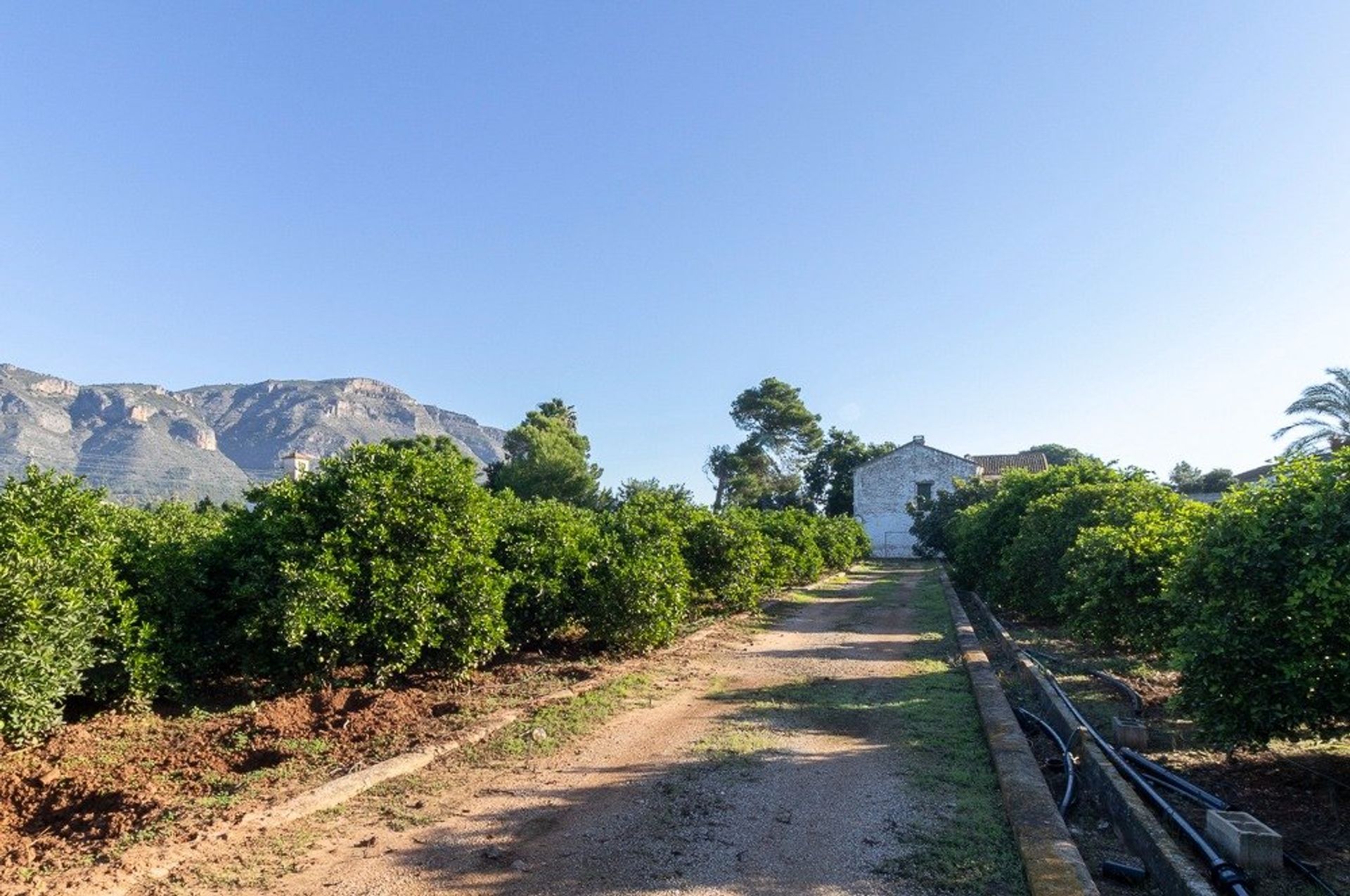 अन्य में Benifairó de la Valldigna, Valencian Community 12334621