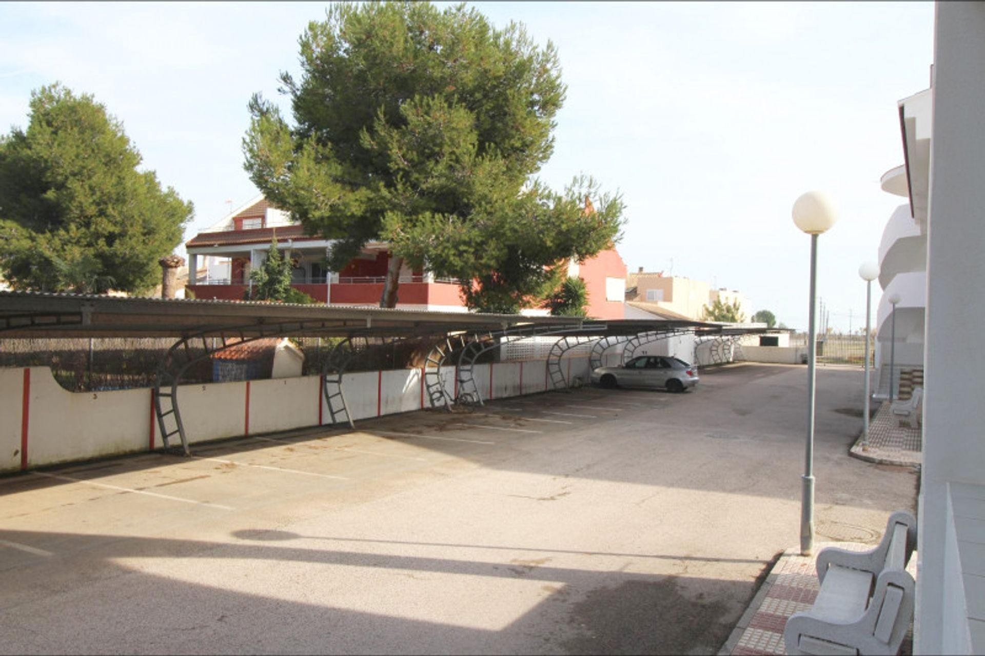 Αλλα σε Sagunto, Valencian Community 12334661