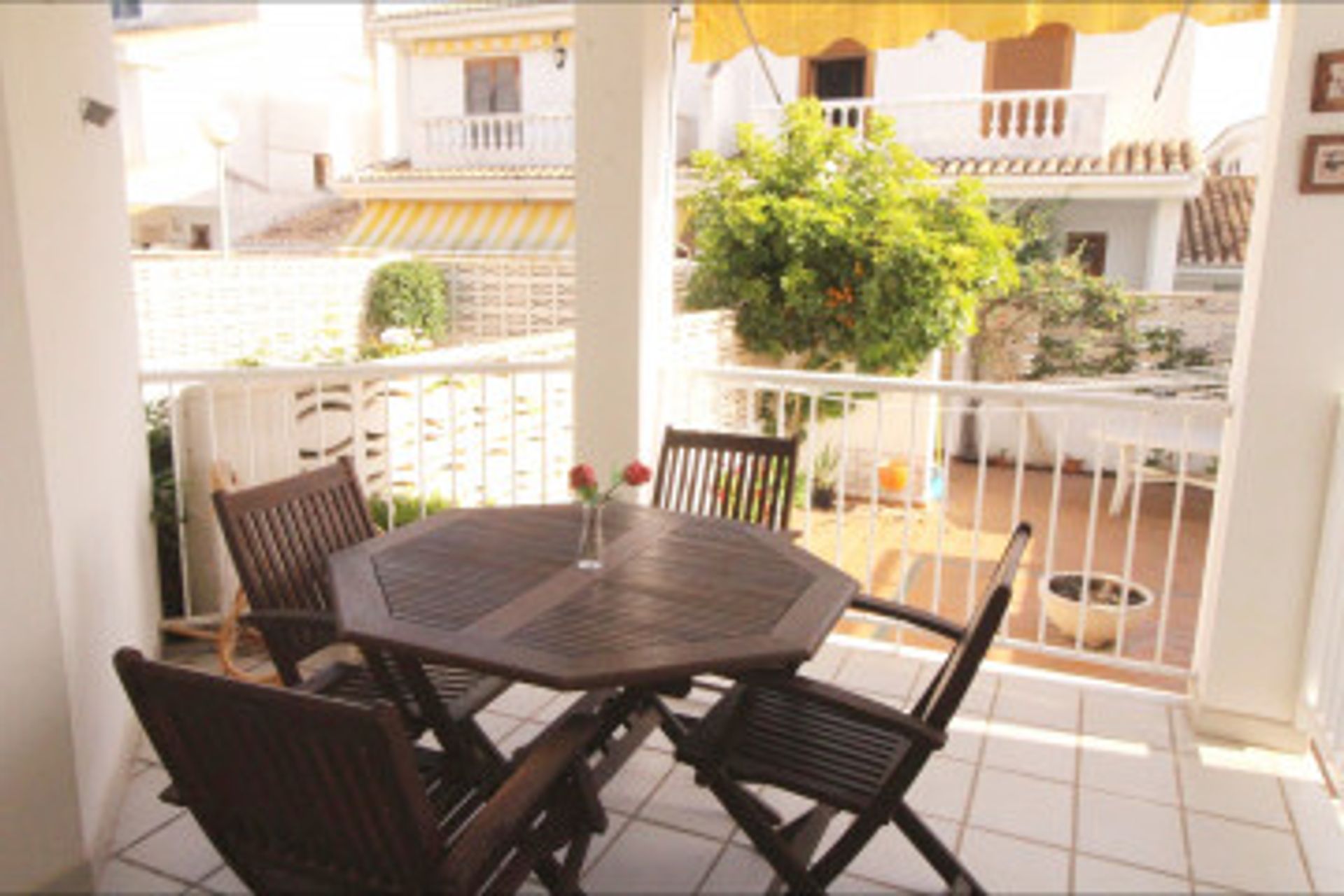 Αλλα σε Sagunto, Valencian Community 12334661