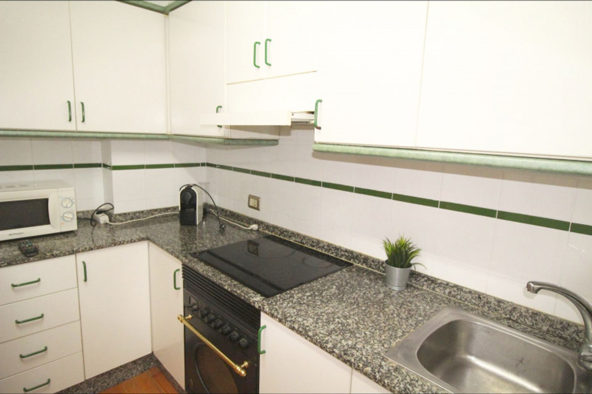 Αλλα σε Sagunto, Valencian Community 12334661