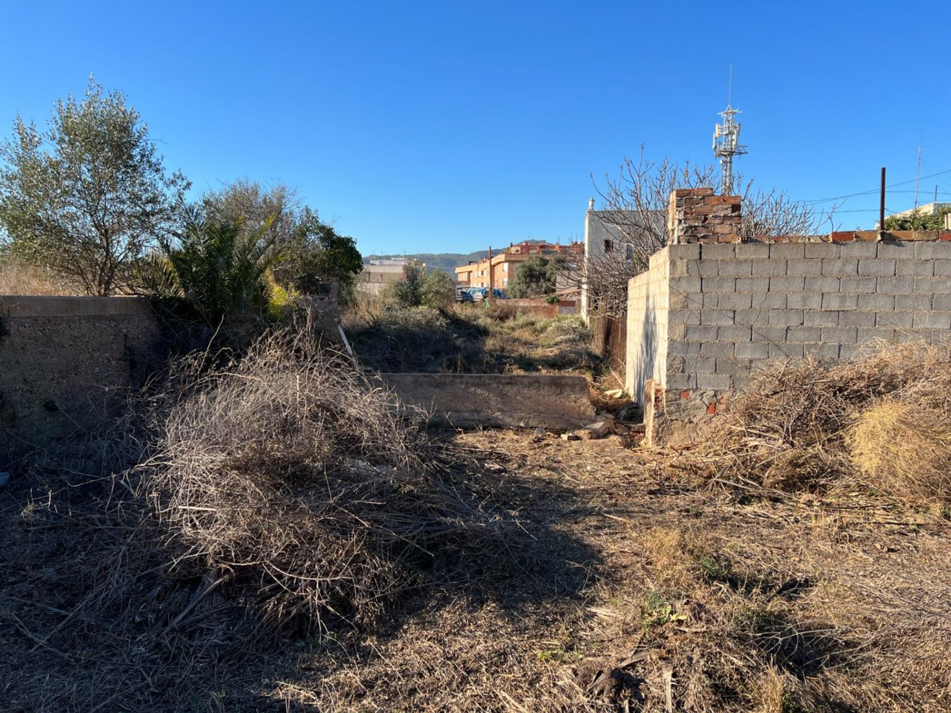 Inny w Castelló de la Plana, Comunidad Valenciana 12334809