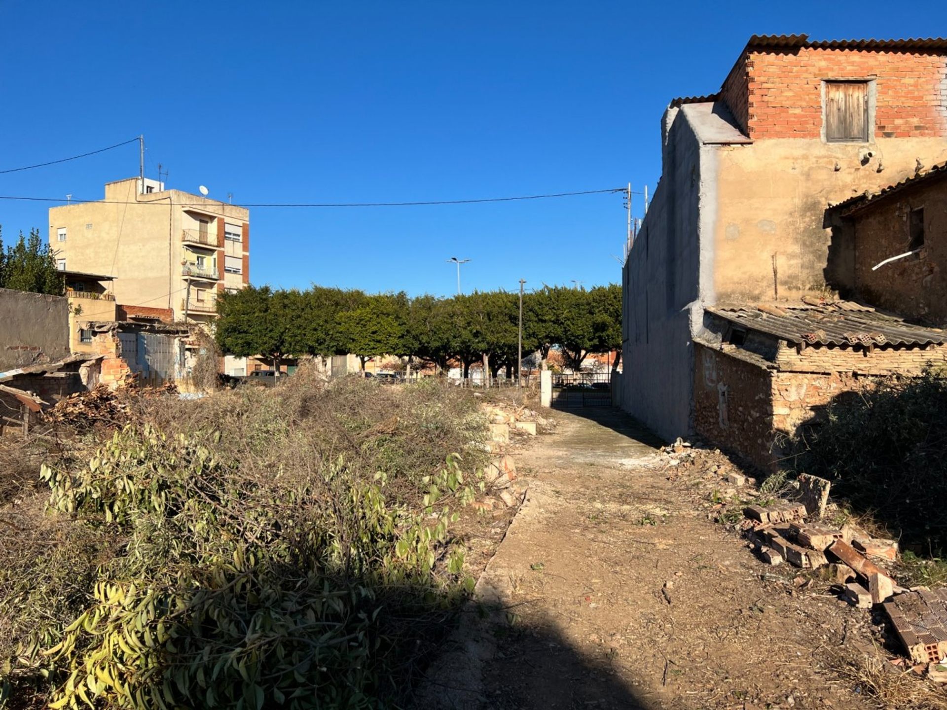 Αλλα σε Castelló de la Plana, Comunidad Valenciana 12334809