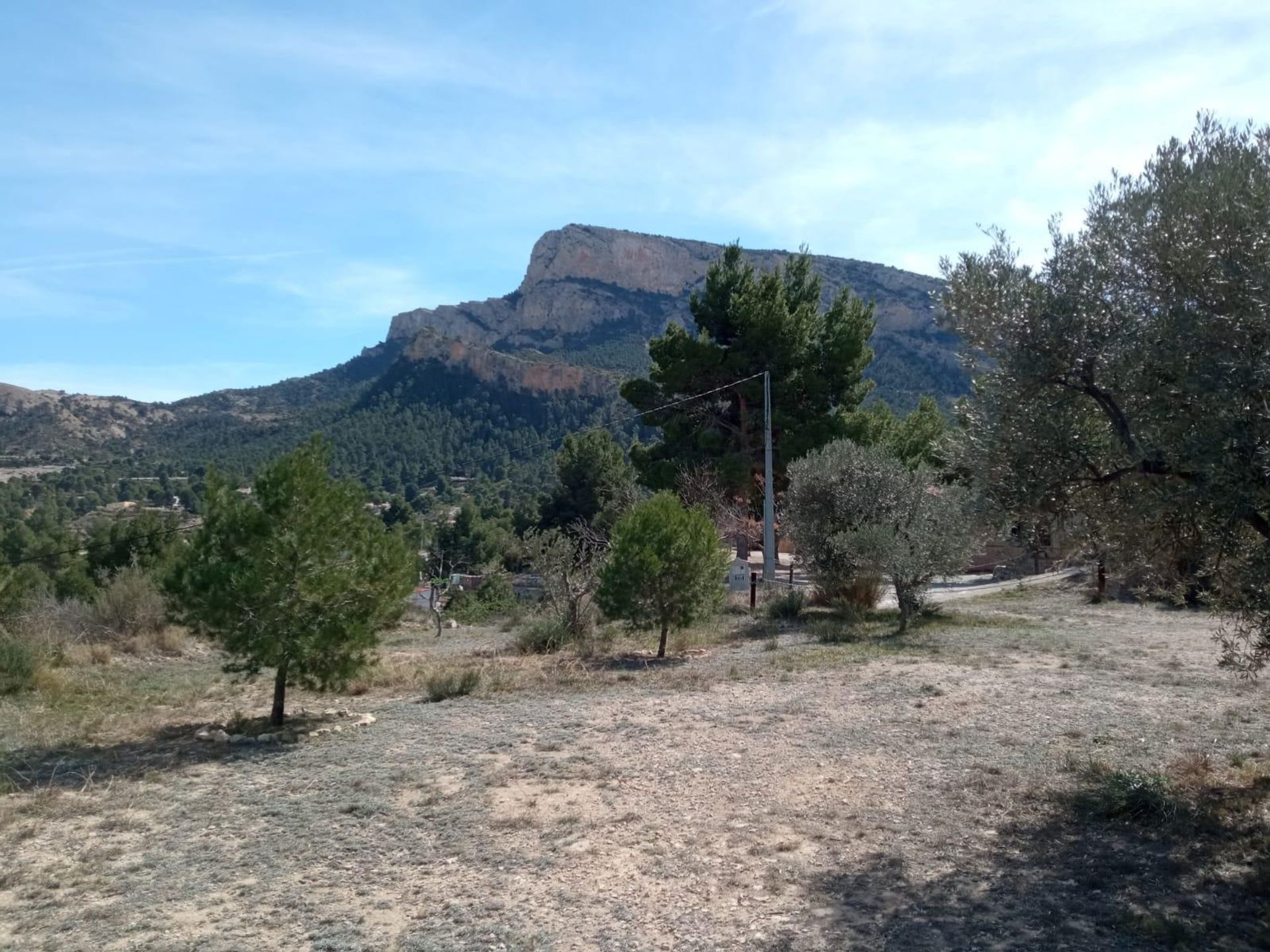 Otro en El Monastil, Valencia 12334886