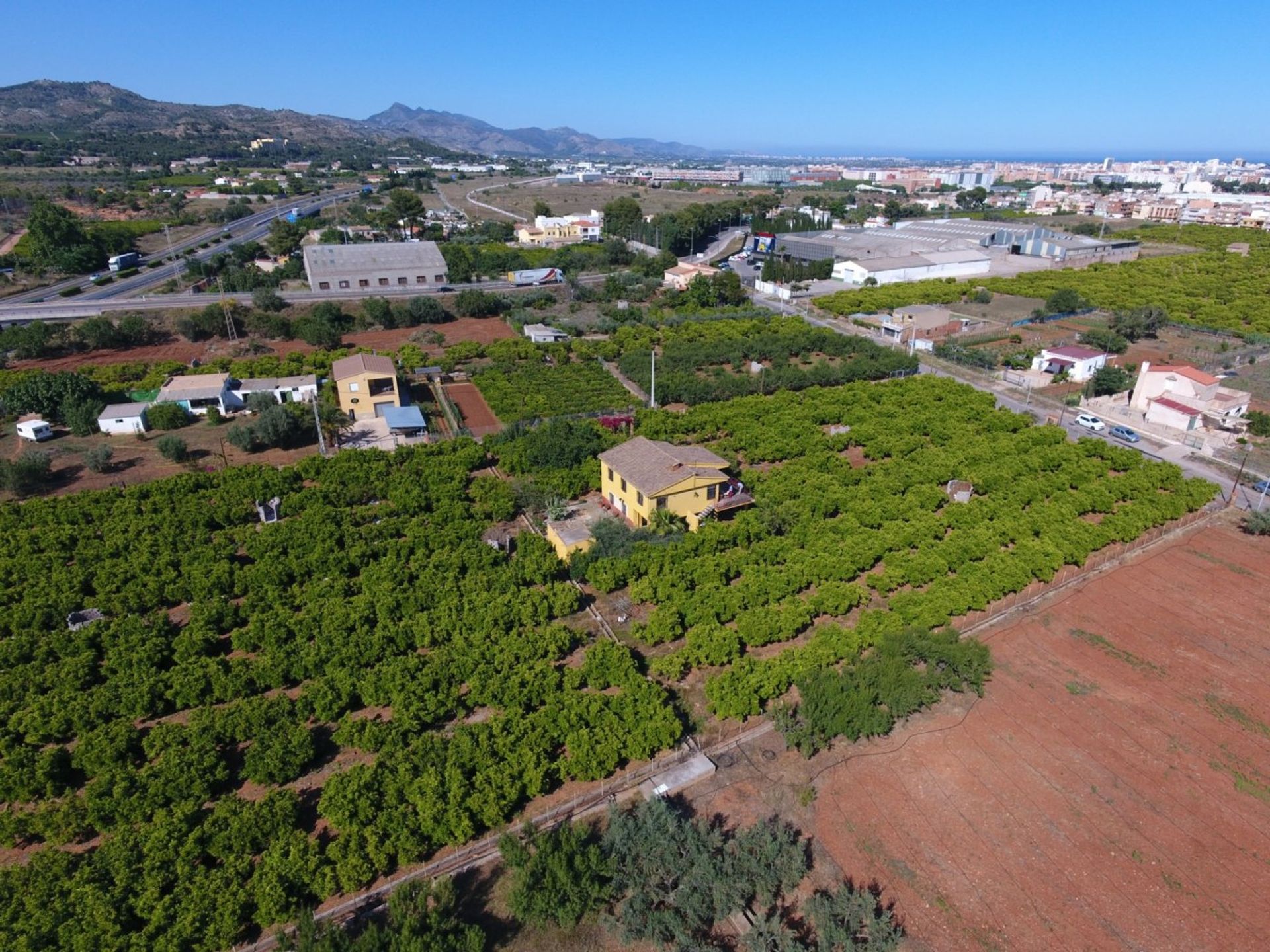 Αλλα σε Castellón de la Plana, Valencian Community 12334990