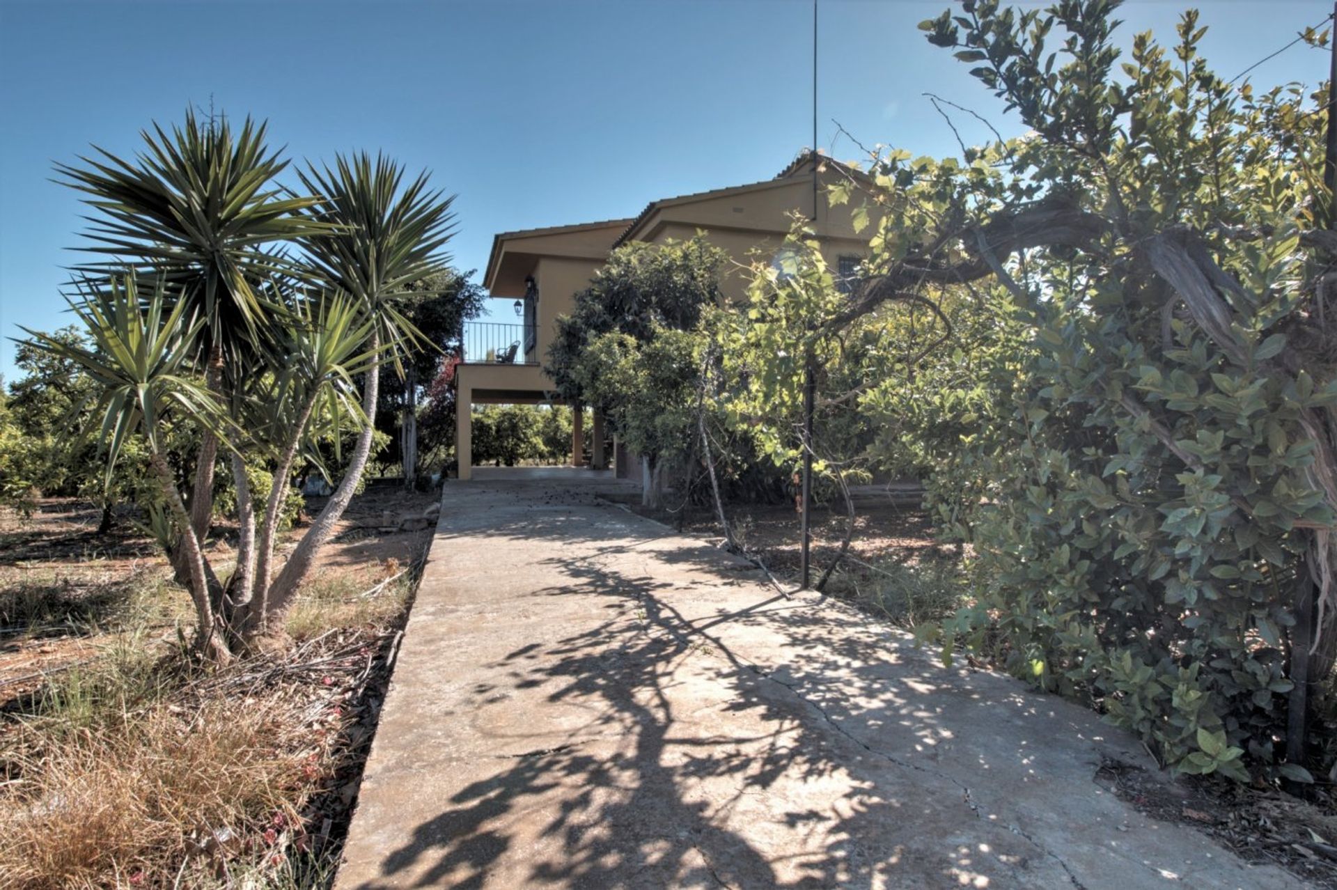 Αλλα σε Castellón de la Plana, Valencian Community 12334990