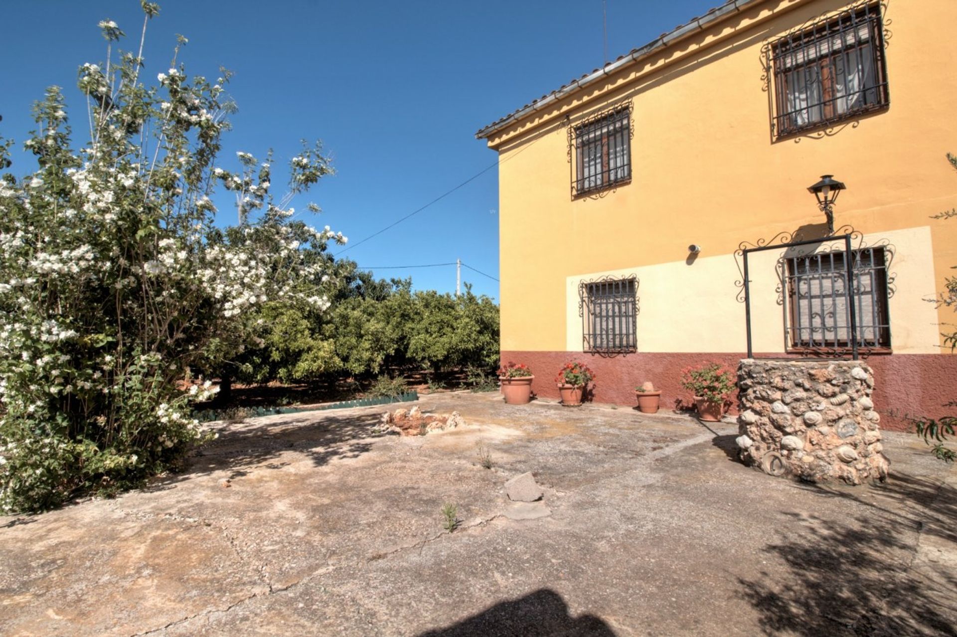 Αλλα σε Castellón de la Plana, Valencian Community 12334990