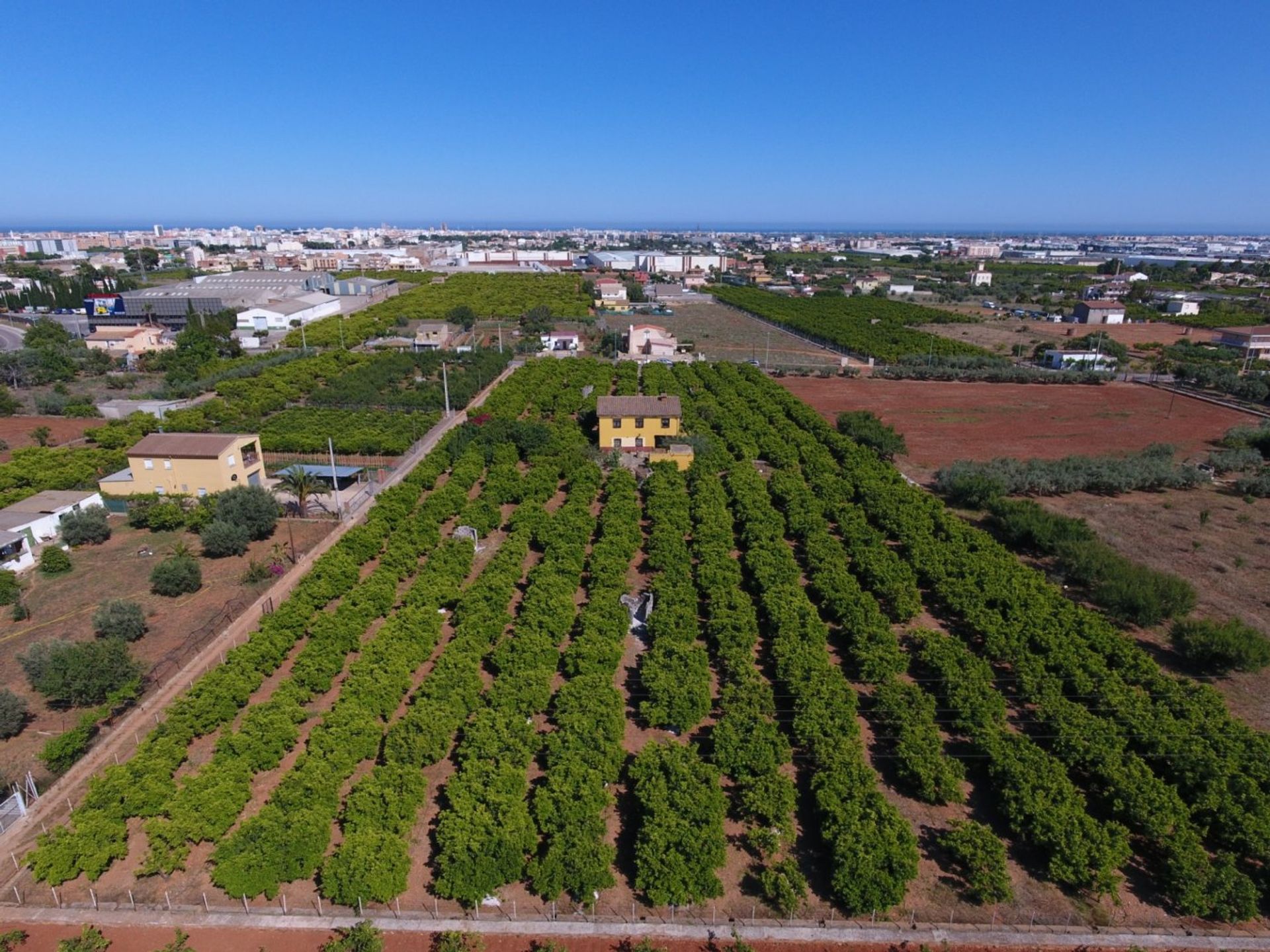 Αλλα σε Castellón de la Plana, Valencian Community 12334990