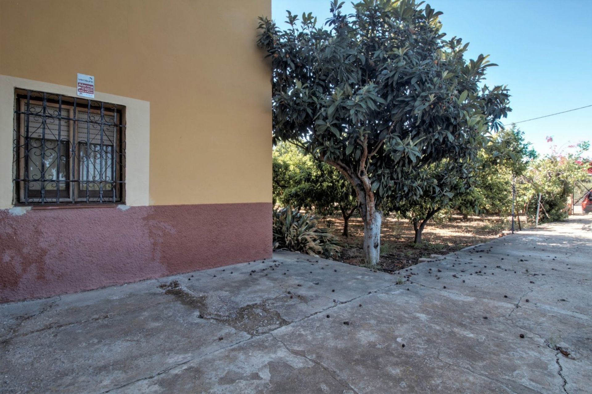 Αλλα σε Castellón de la Plana, Valencian Community 12334990