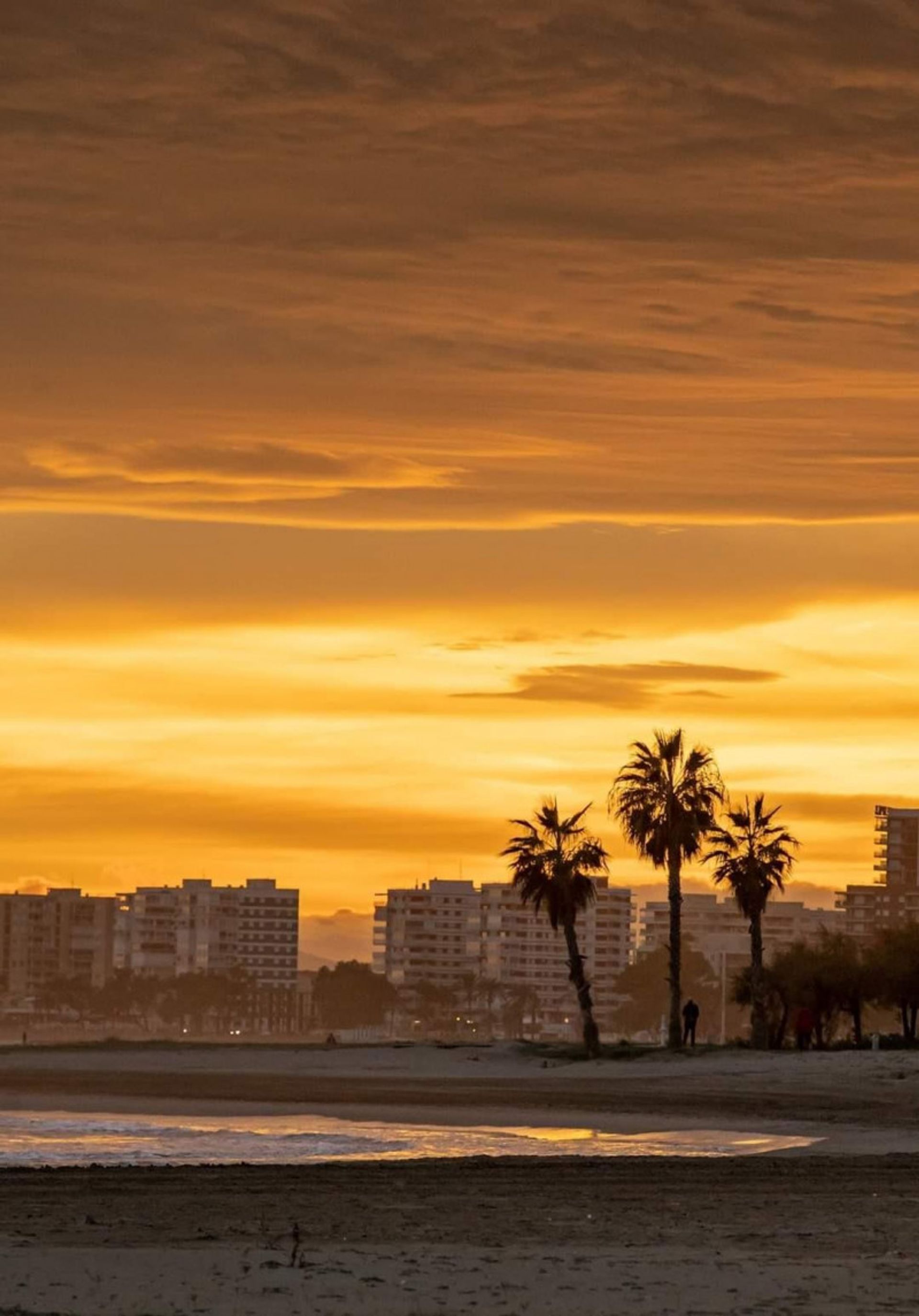 Lain di Benicàssim, Comunidad Valenciana 12335051