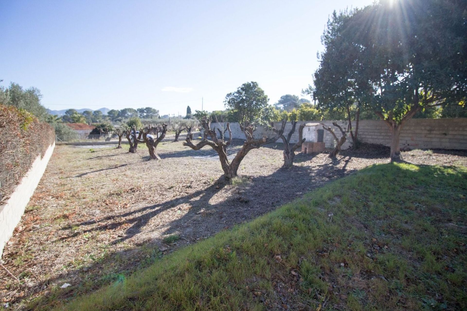 آخر في Xàtiva, Valencian Community 12335059