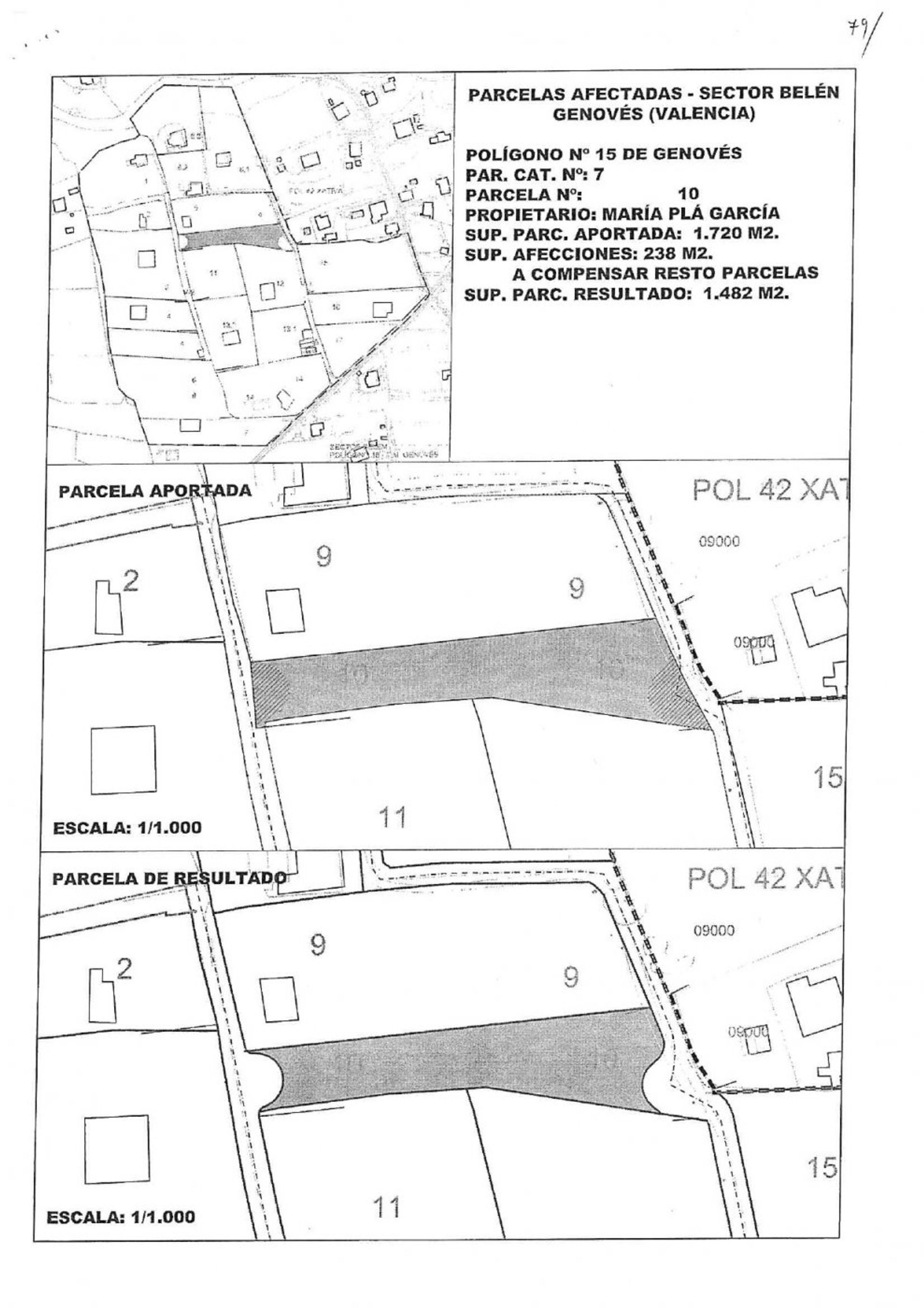 Annen i Xàtiva, Valencian Community 12335059