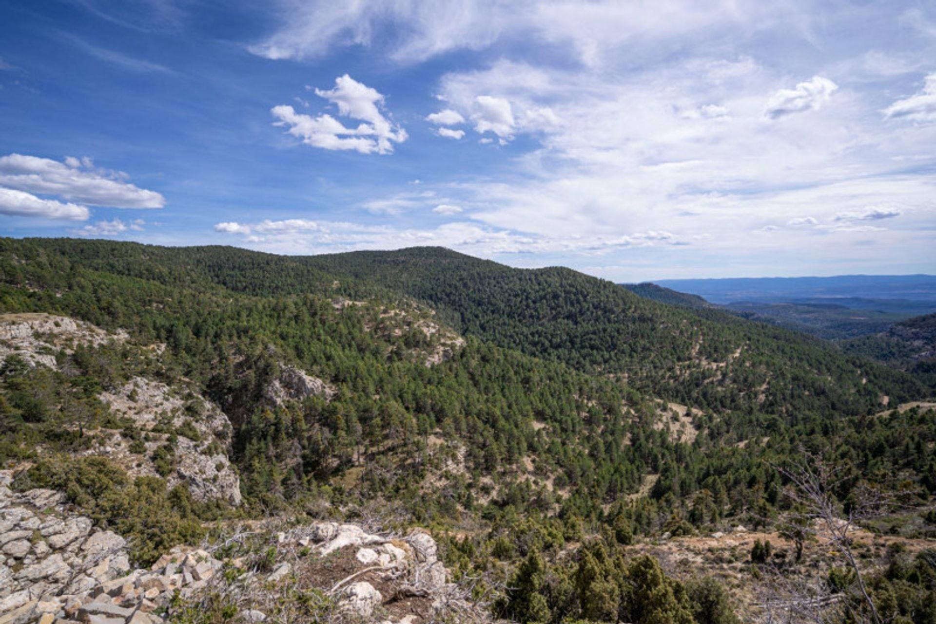 其他 在 Nogueruelas, Aragon 12335062