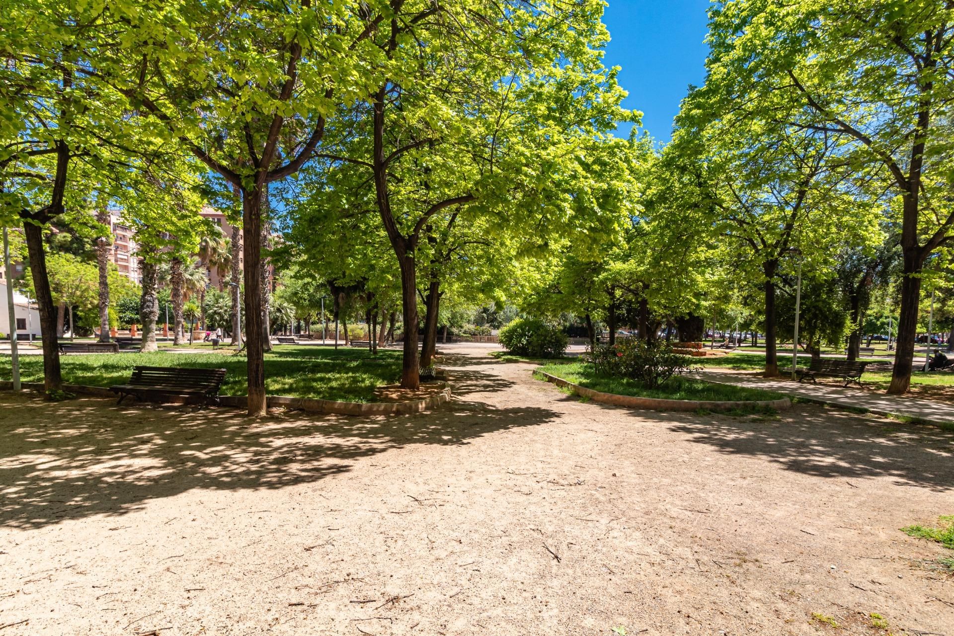 其他 在 Castelló de la Plana, Comunidad Valenciana 12335089