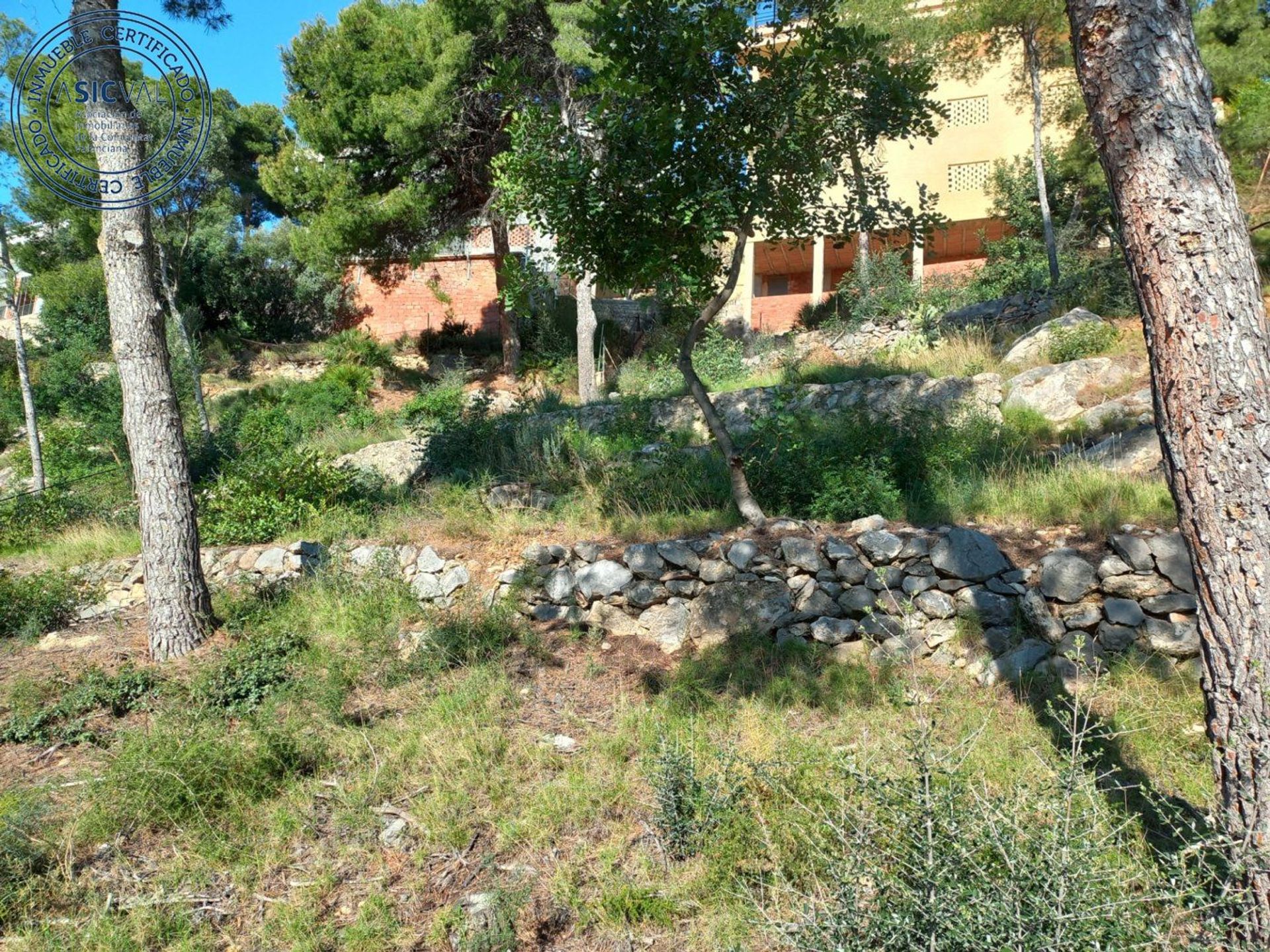 Annen i Benicàssim, Valencian Community 12335094