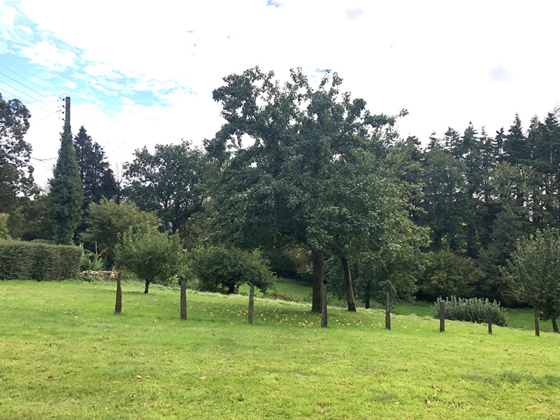 Huis in Plouguenast-Langast, Brittany 12335249