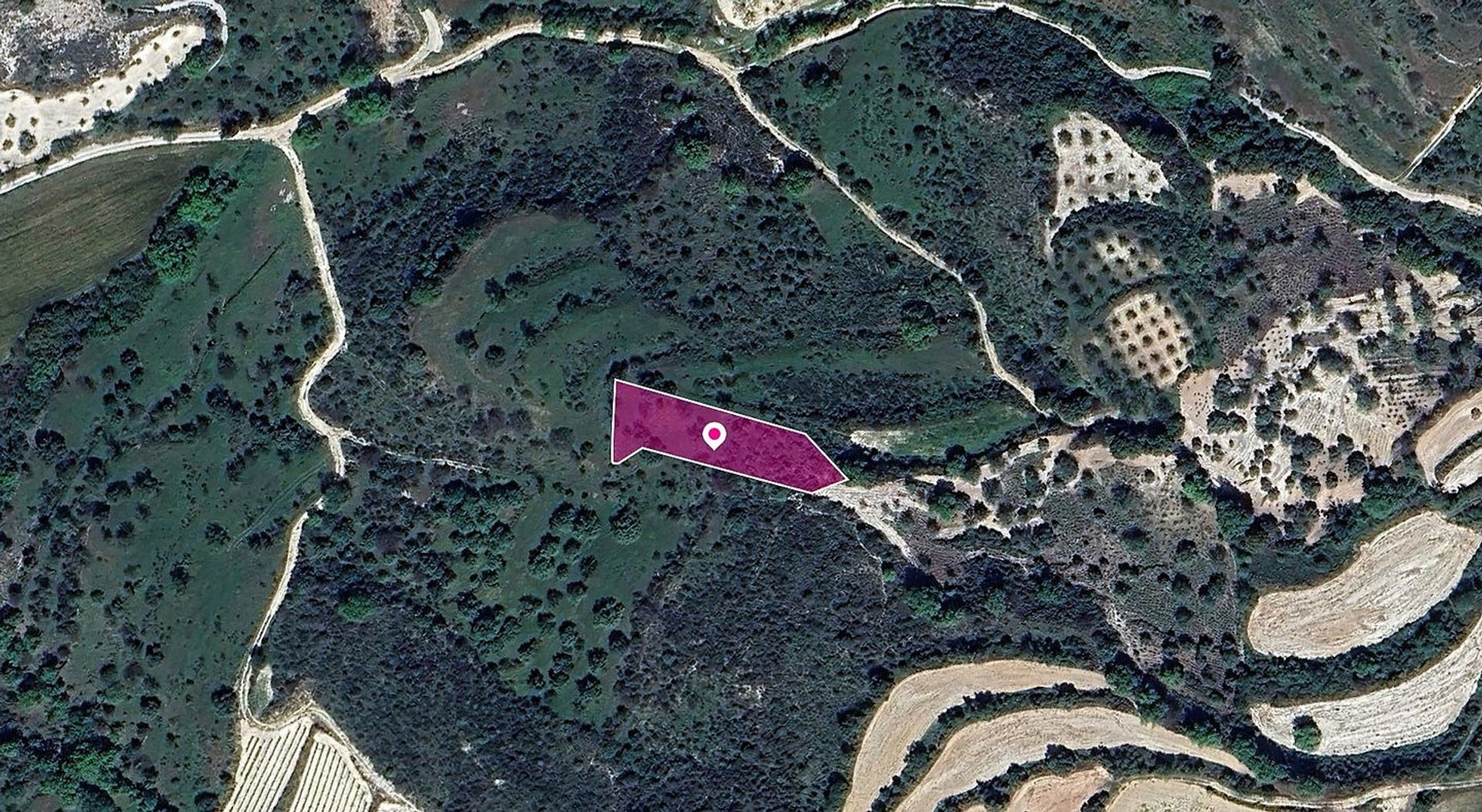 Land im Lemona, Paphos 12335732