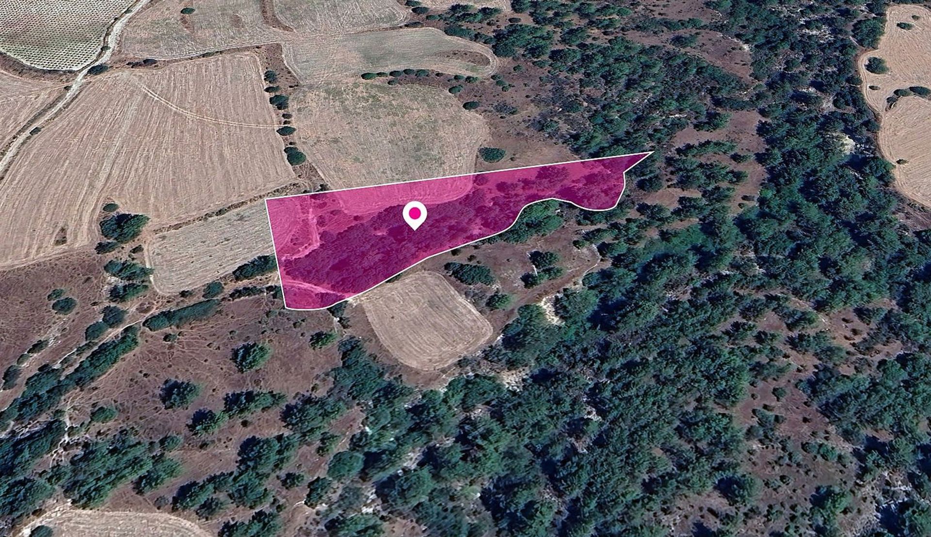 Land in Pampoula, Lemesos 12335758