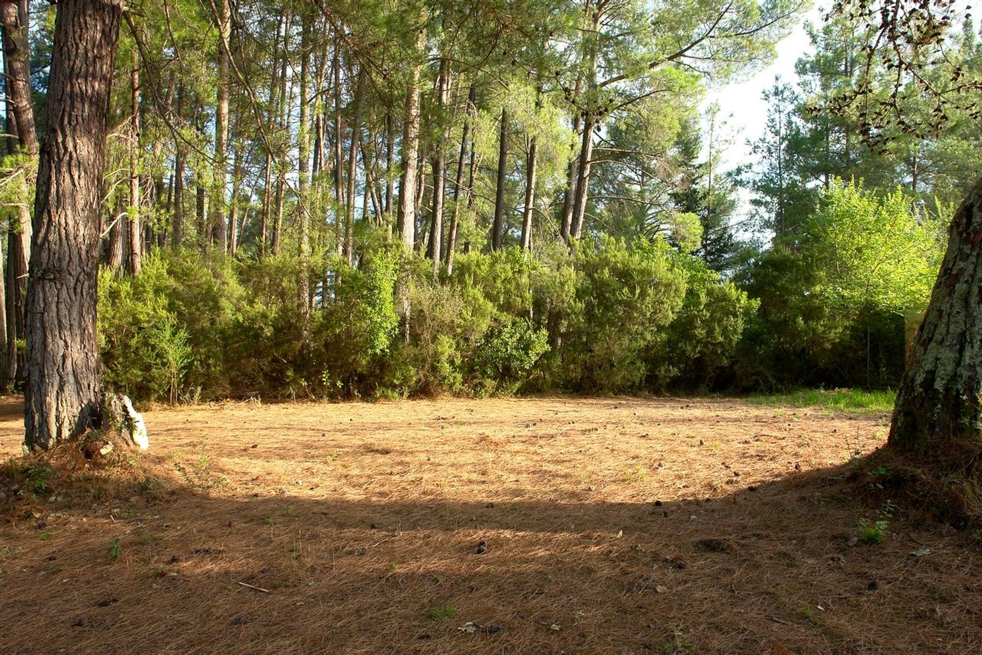 Tierra en Ypsos, Ionia Nisia 12337285