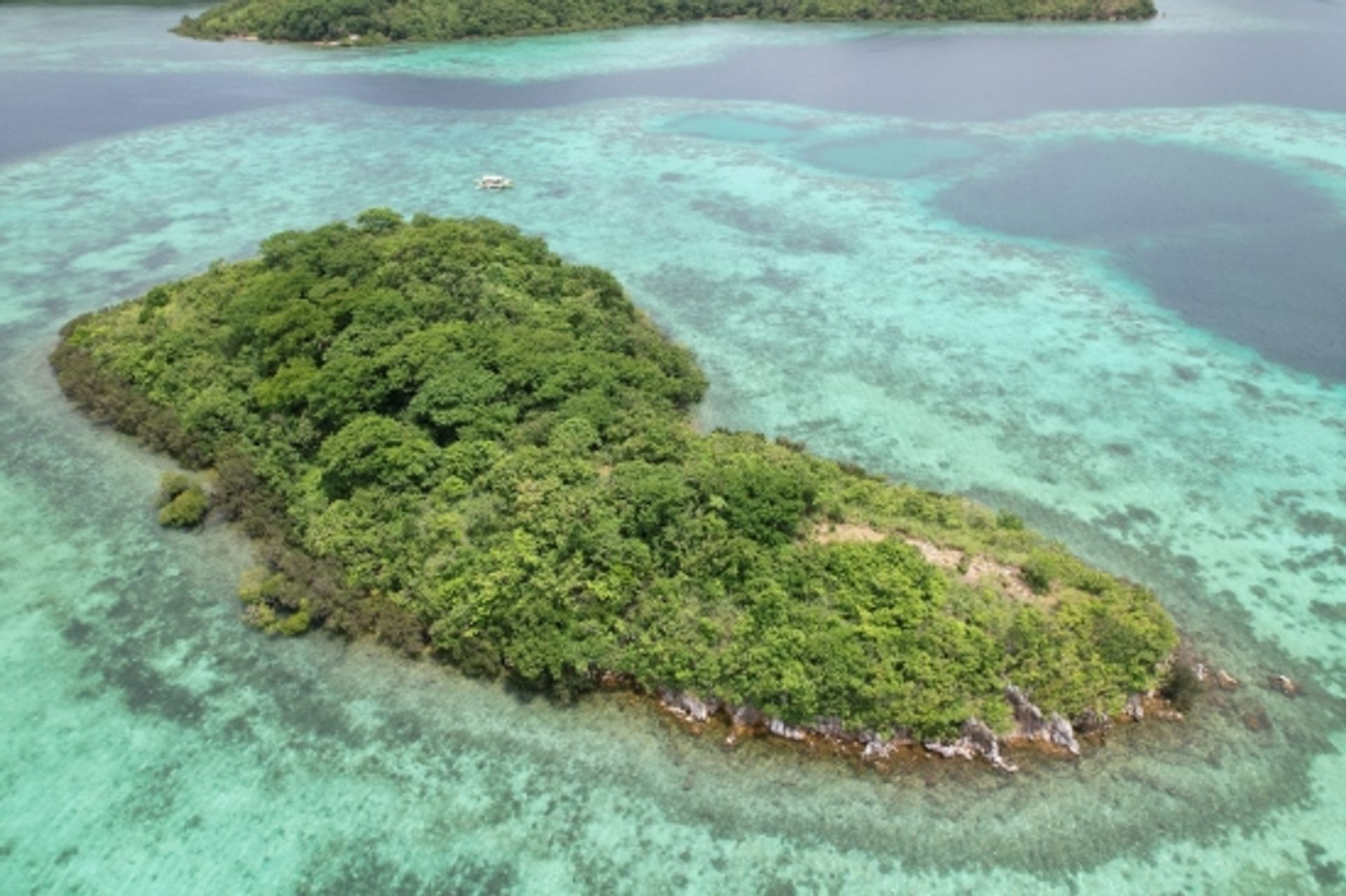 Land in Culion, Palawan 12338533