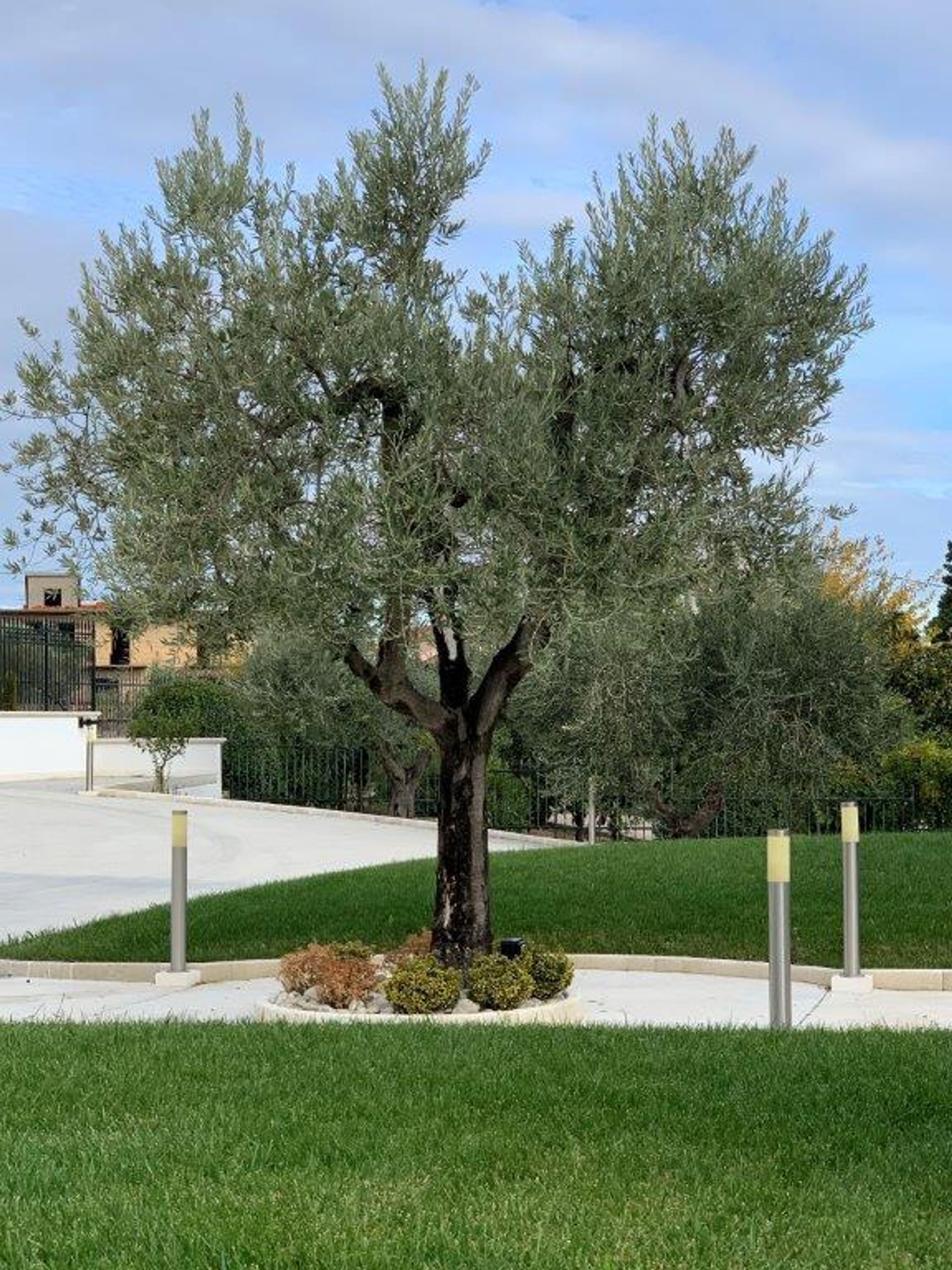 House in , Molise 12339624