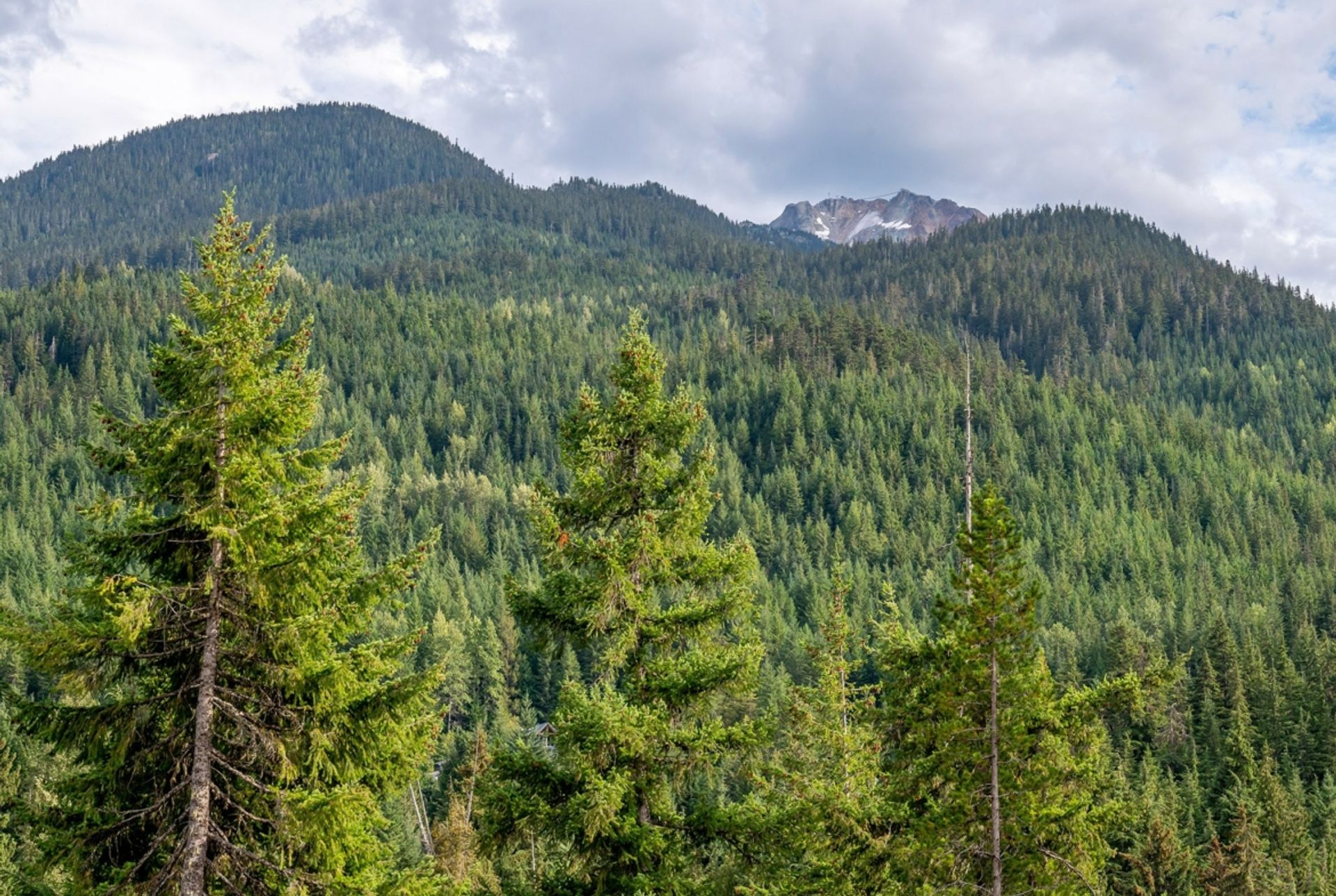 房子 在 Whistler, British Columbia 12339694