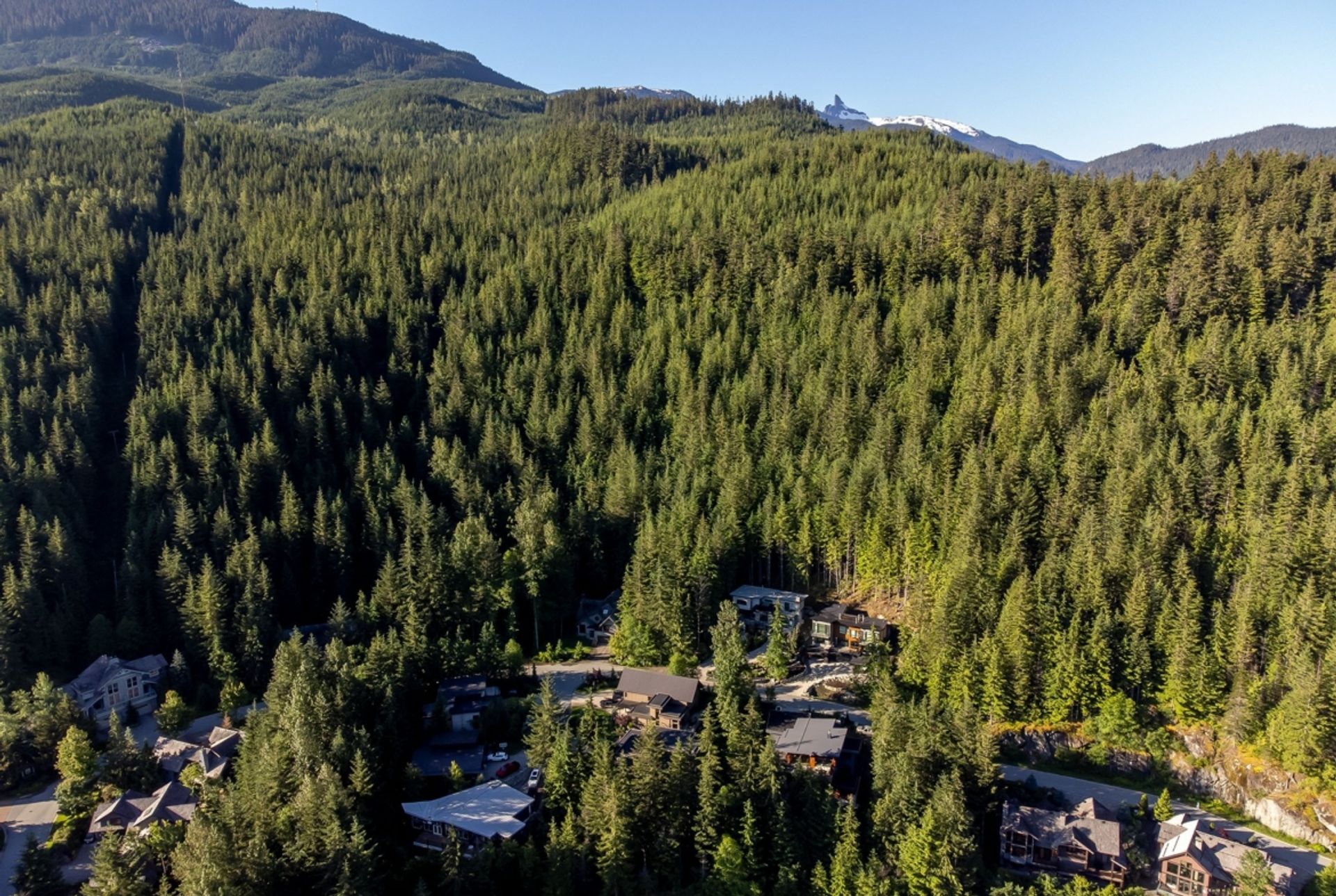 الأرض في Whistler, British Columbia 12339712