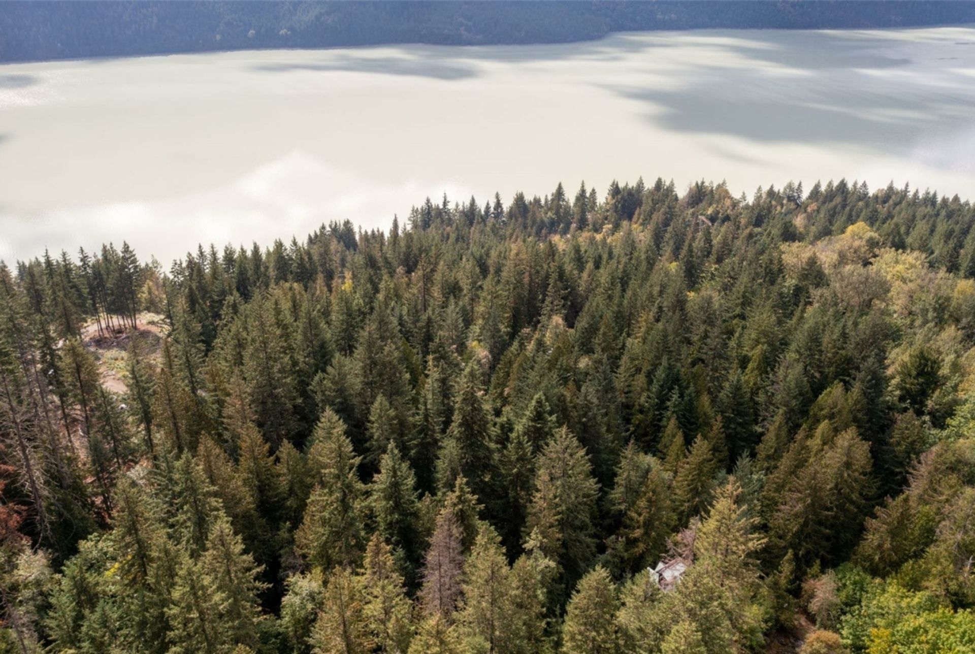 Terra no pemberton, Columbia Britânica 12339722