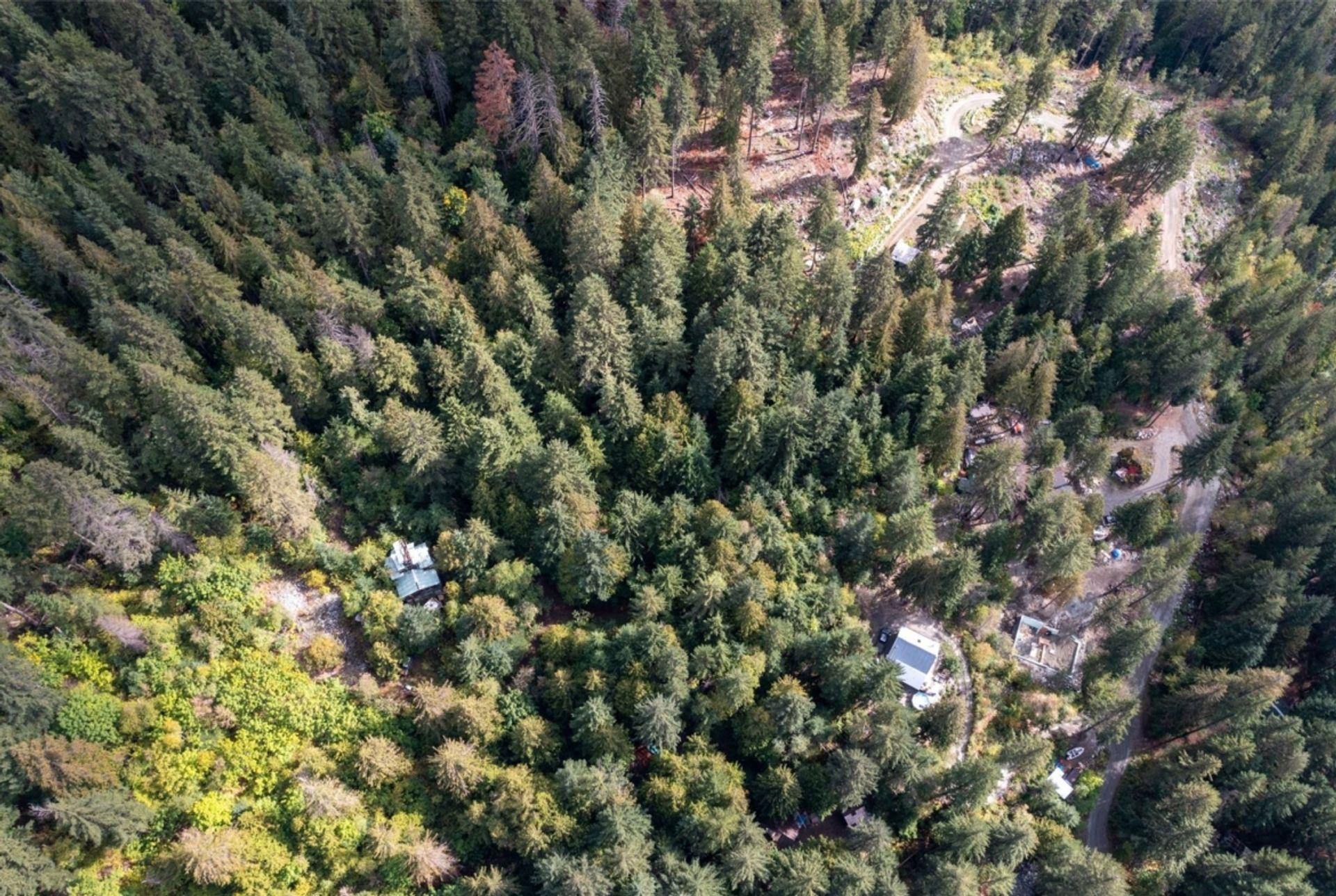 Terra no pemberton, Columbia Britânica 12339722