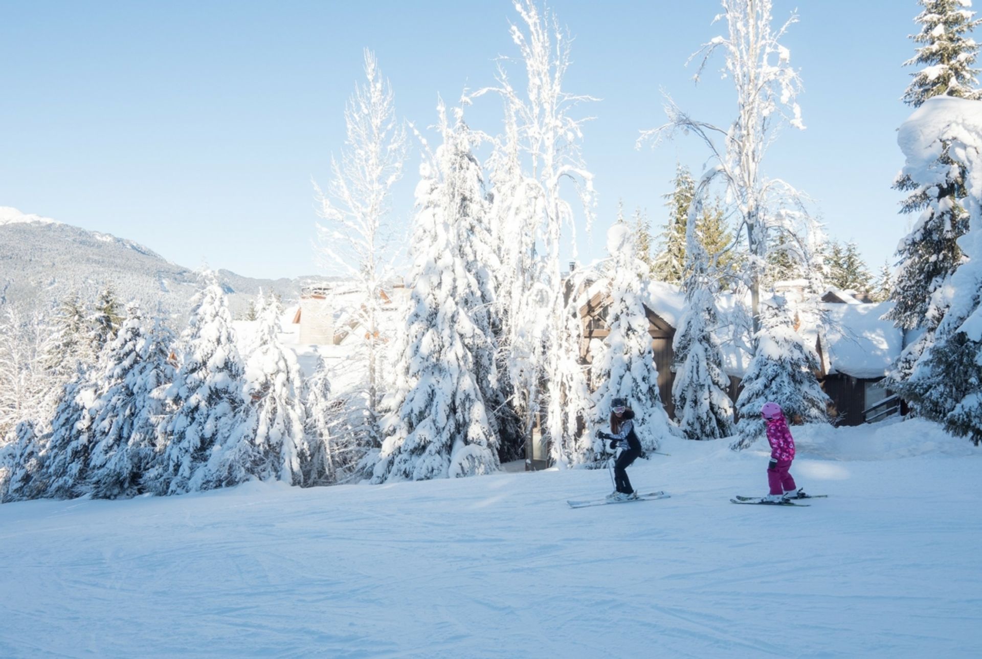 House in Whistler, British Columbia 12339728