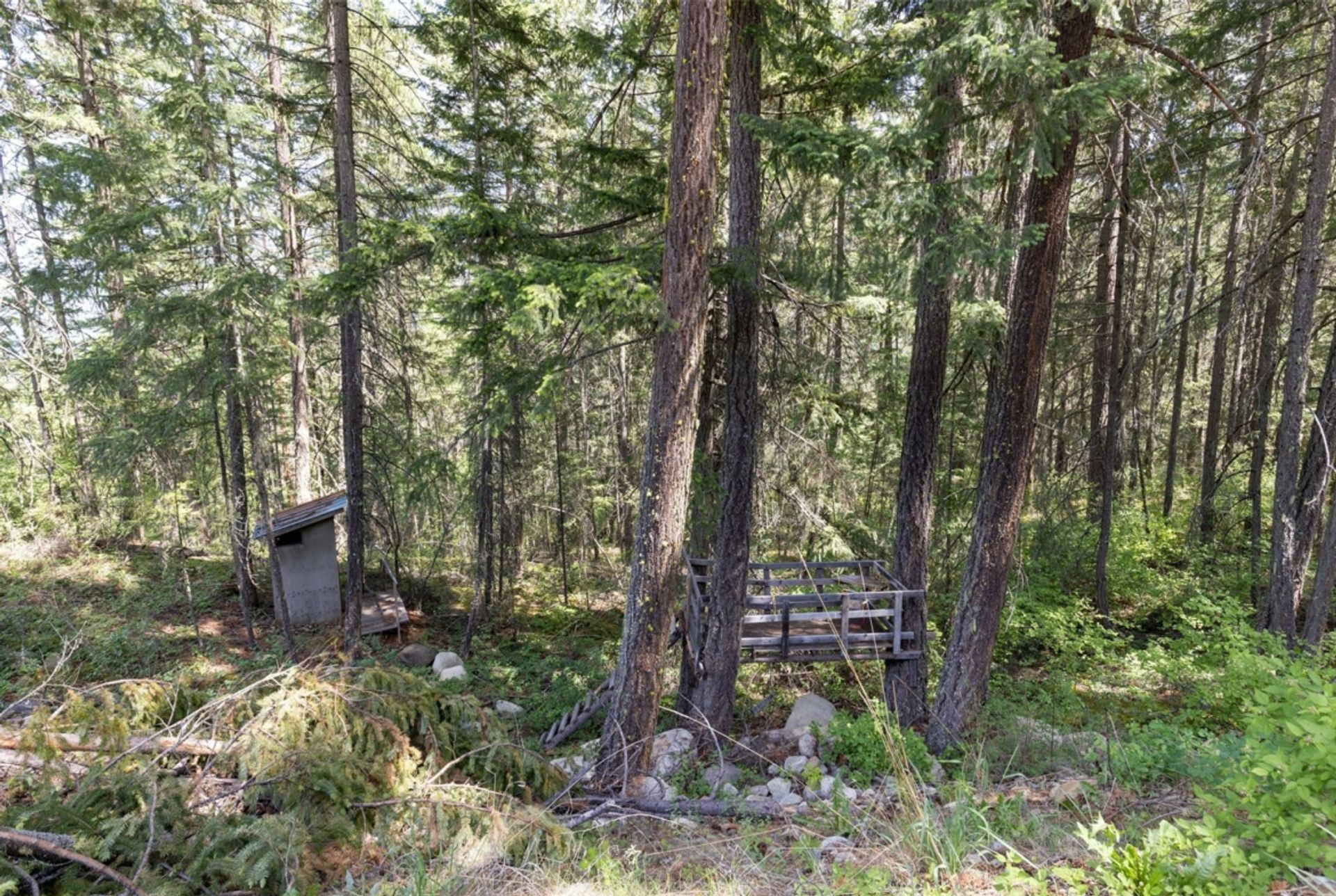 Muu sisään Pemberton, British Columbia 12339732