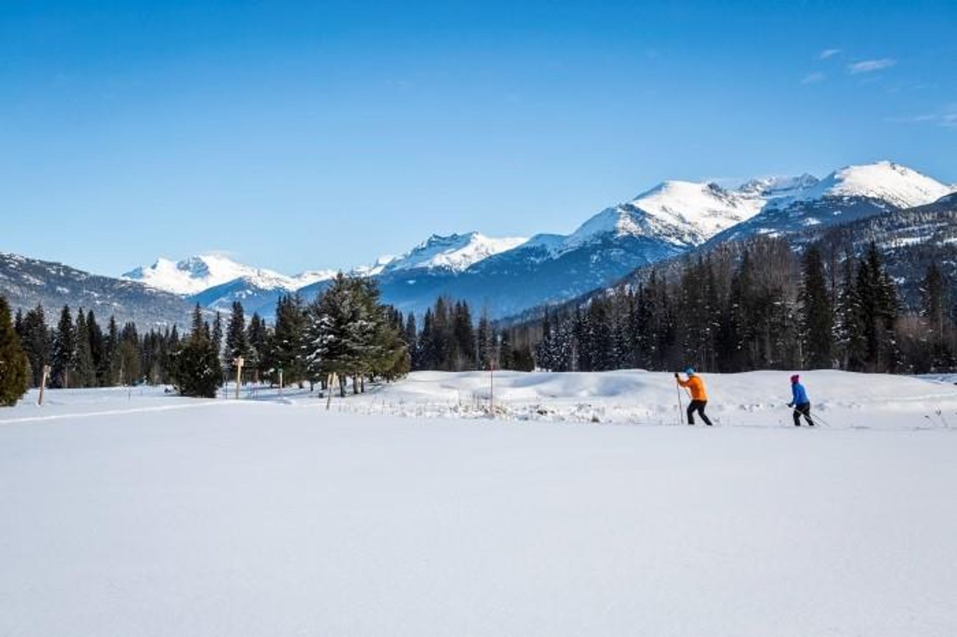 सम्मिलित में Whistler, British Columbia 12339739