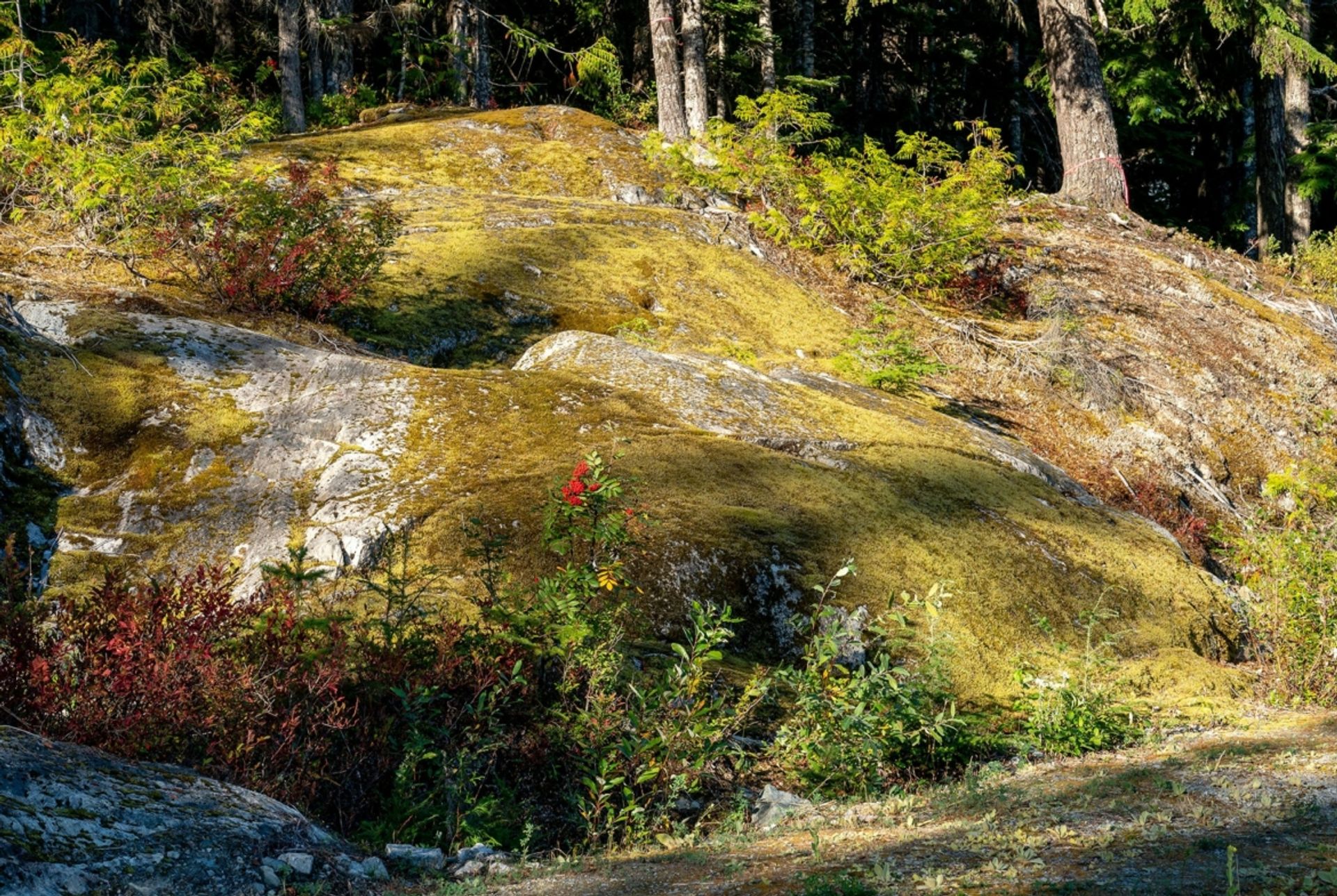 Земельные участки в Whistler, British Columbia 12339771