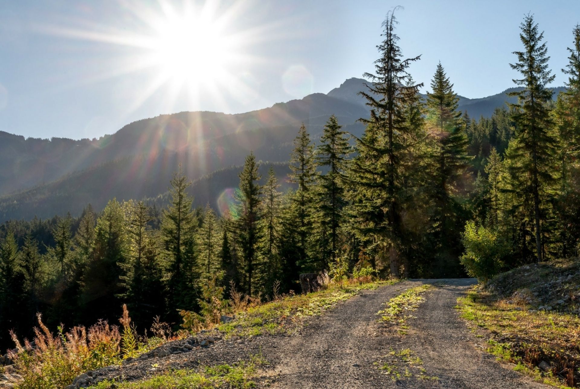 土地 在 Whistler, British Columbia 12339771