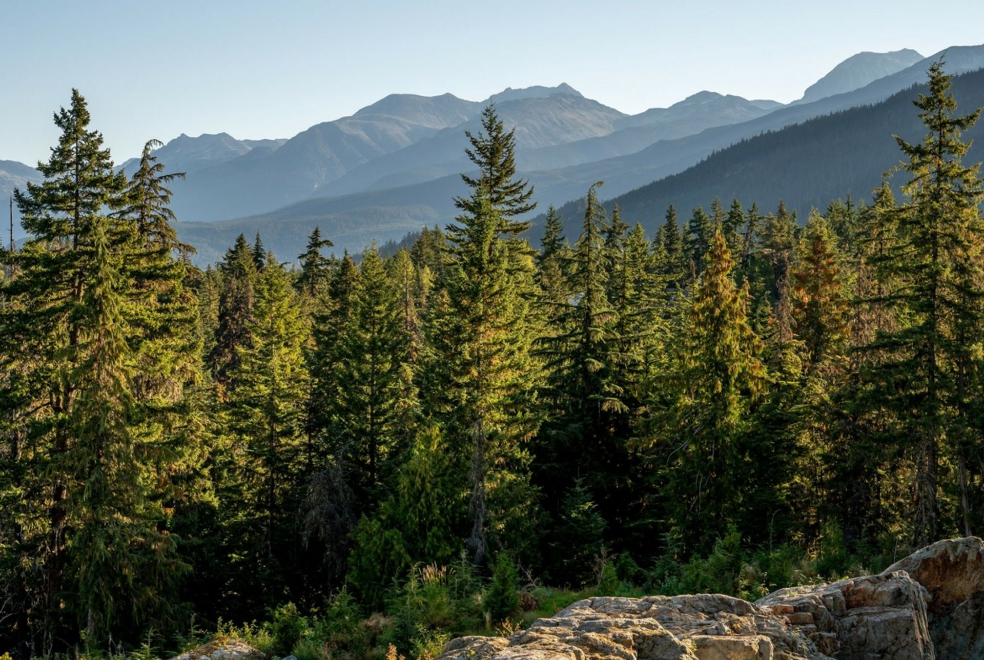 Terre dans Whistler, British Columbia 12339771