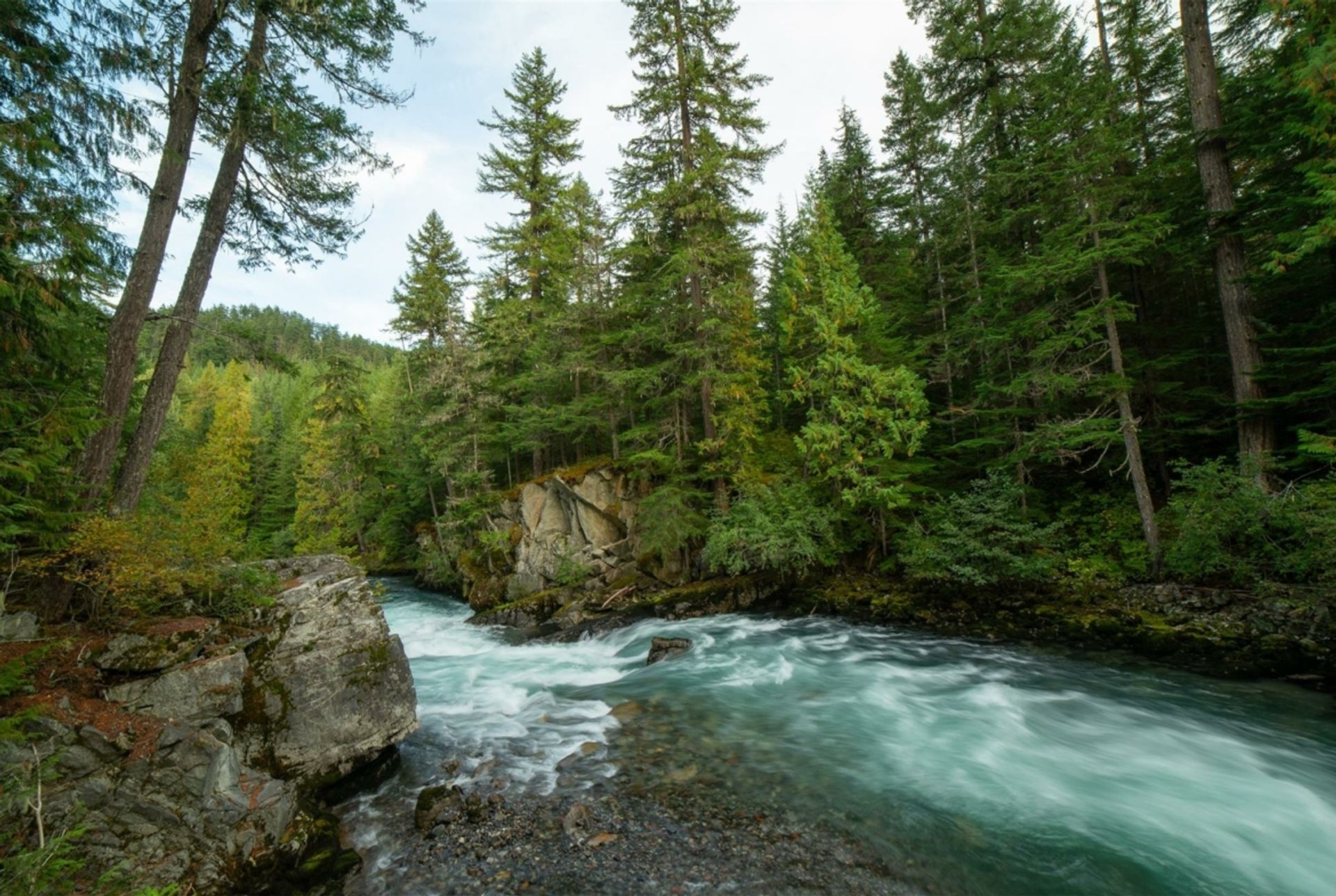 Terre dans Whistler, British Columbia 12339776