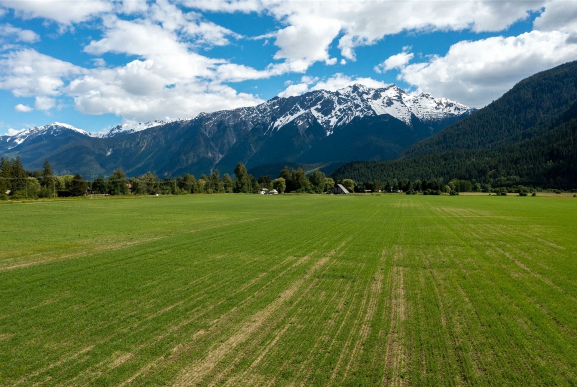 Land i Pemberton, British Columbia 12339799