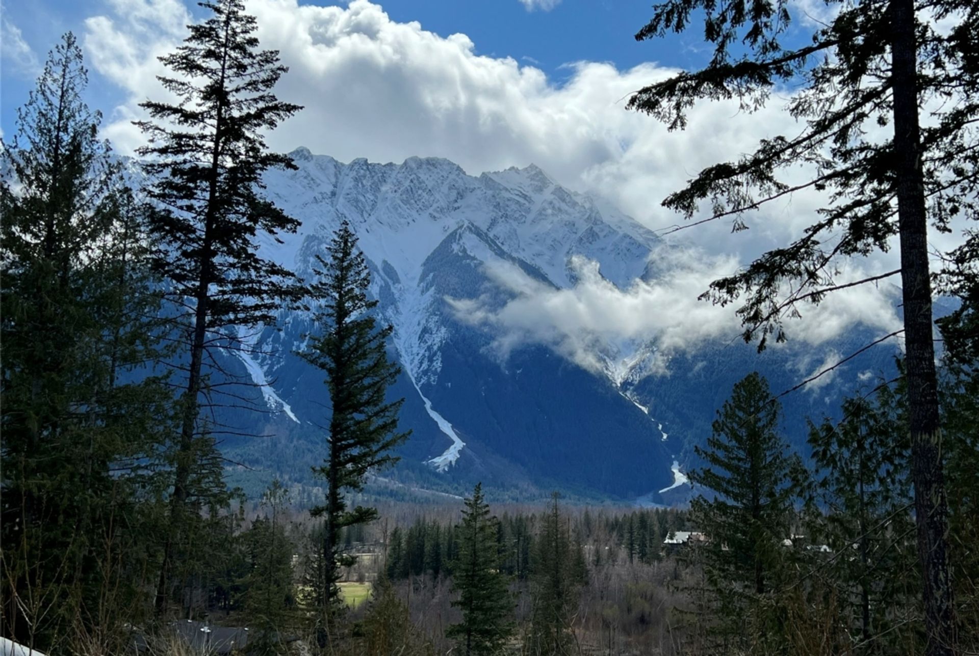 Land i Pemberton, British Columbia 12339800