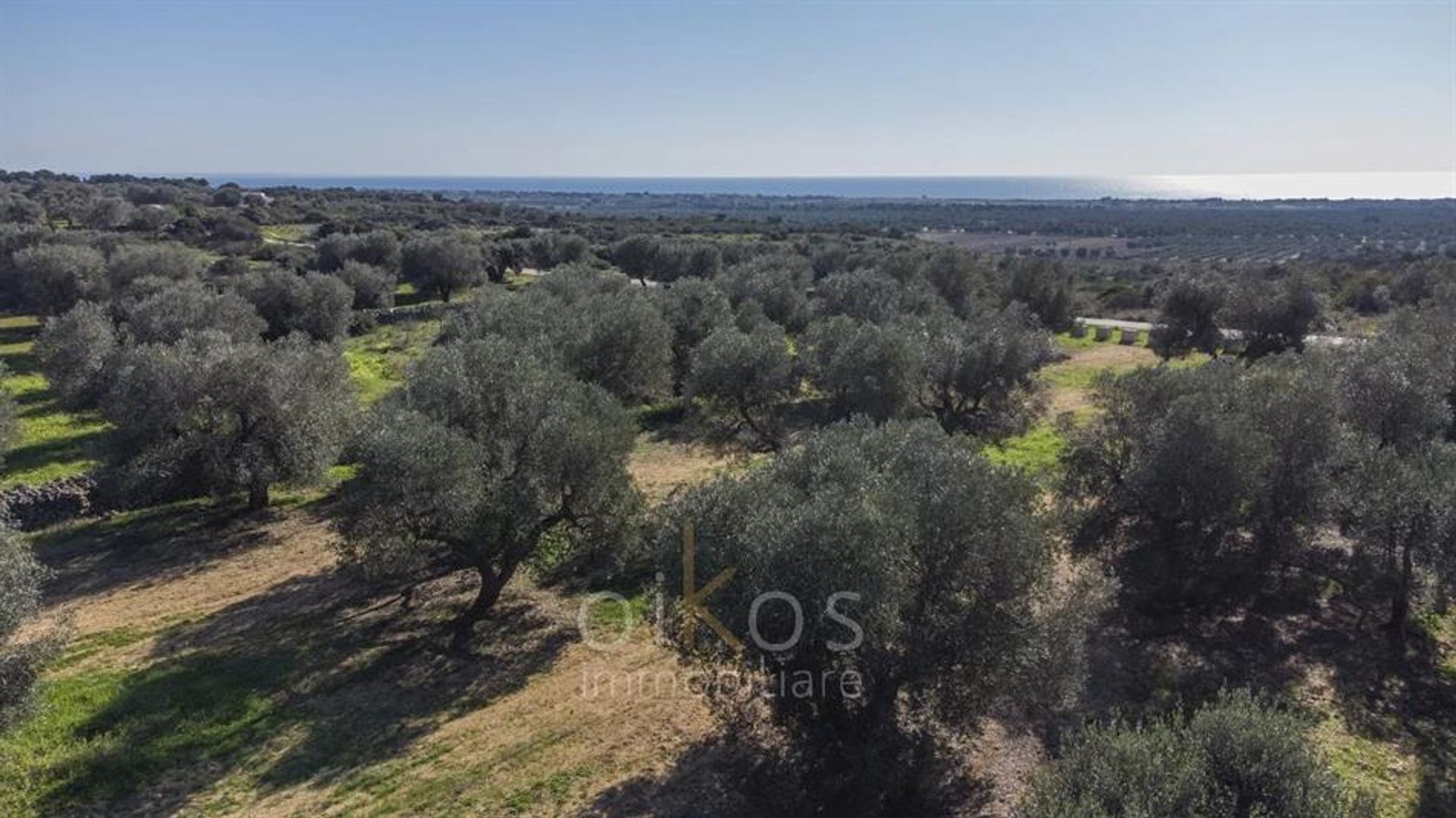 Land i Manduria, Puglia 12339897