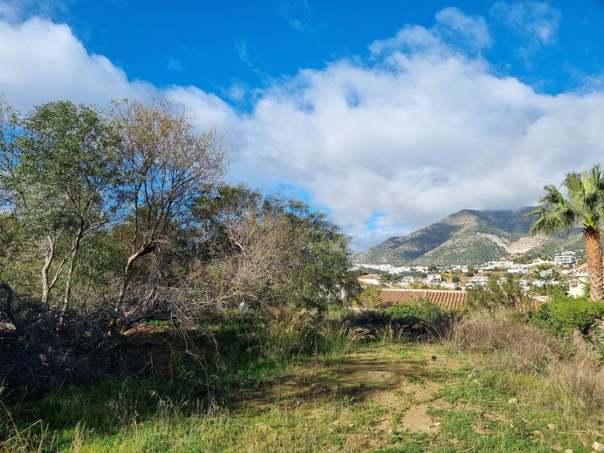 Tanah dalam Mijas, Andalusia 12340141