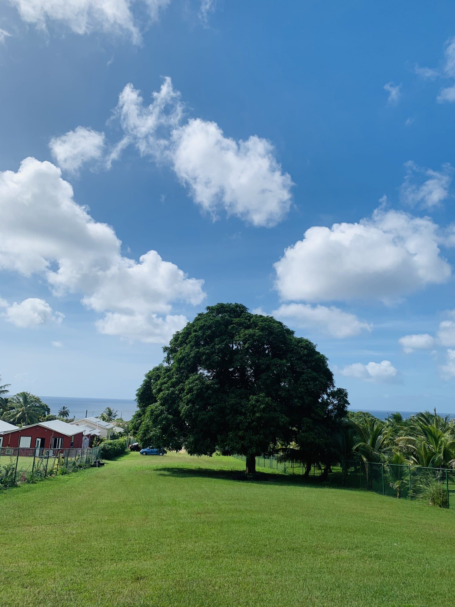 Yang lain dalam Holetown, Saint James 12340572