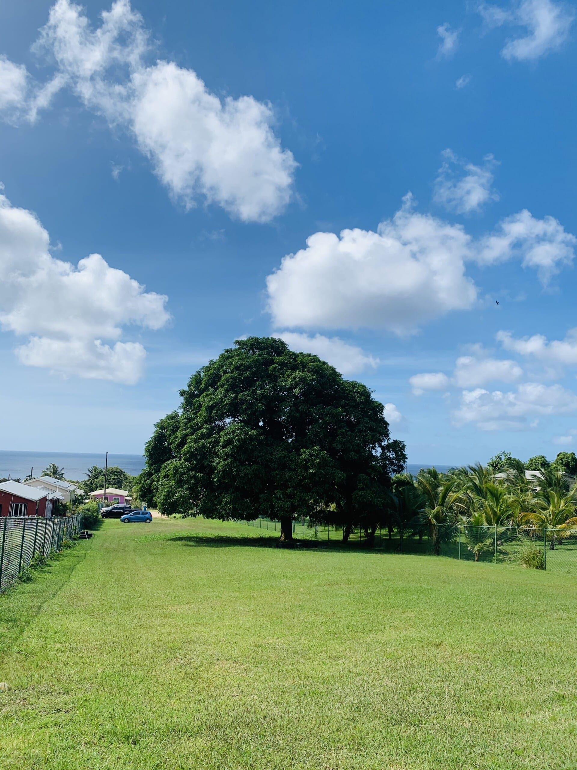 Αλλα σε Holetown, Saint James 12340572