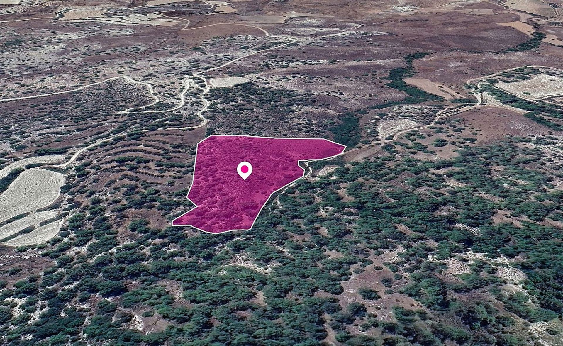 Land i Nata, Paphos 12341770