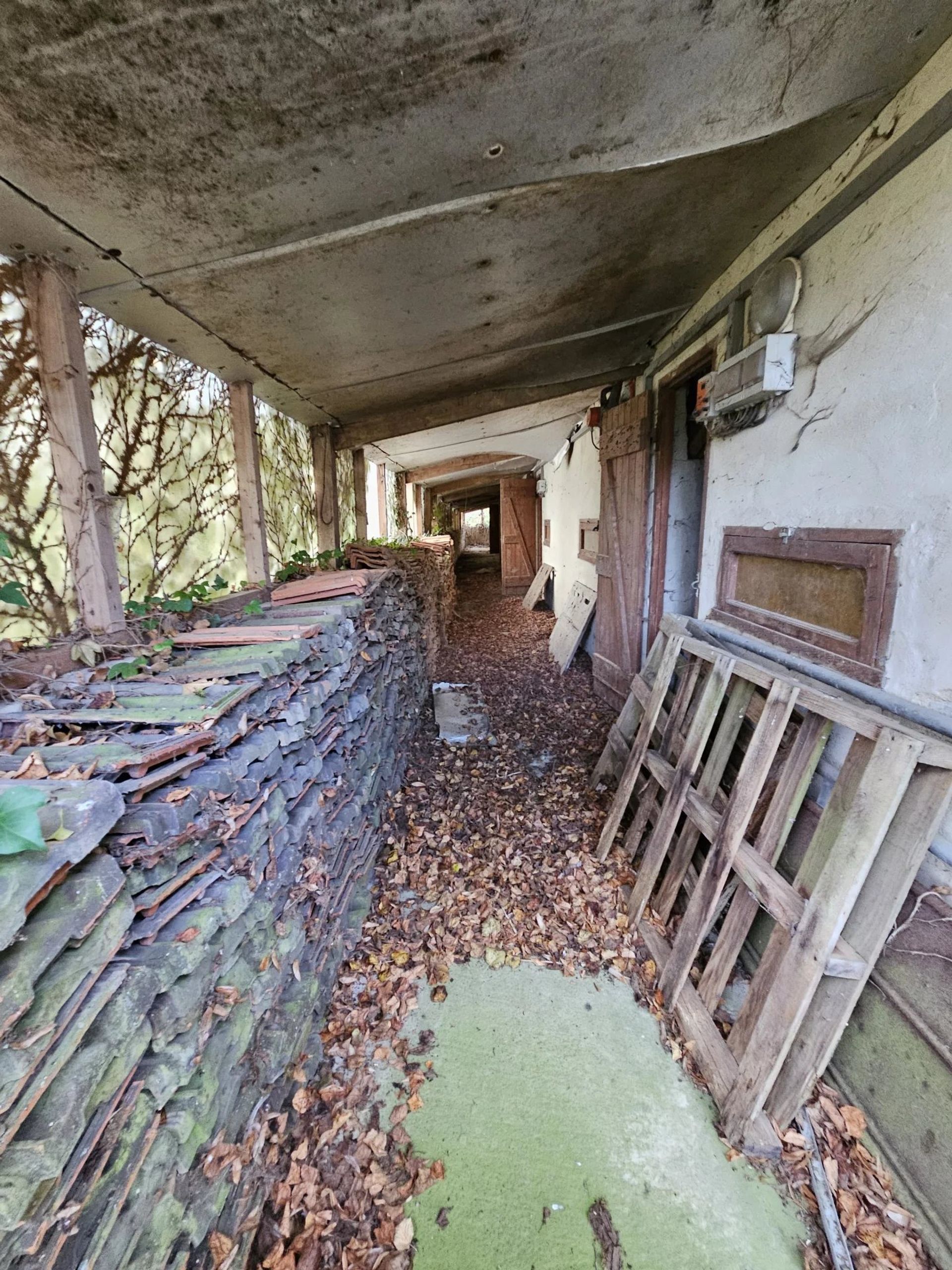 casa en Proissans, Dordogne 12342454